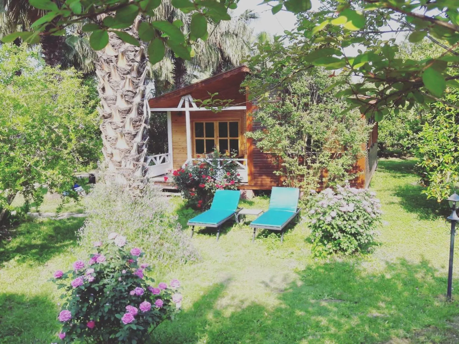 Photo of the whole room in Hemerans Anatolia