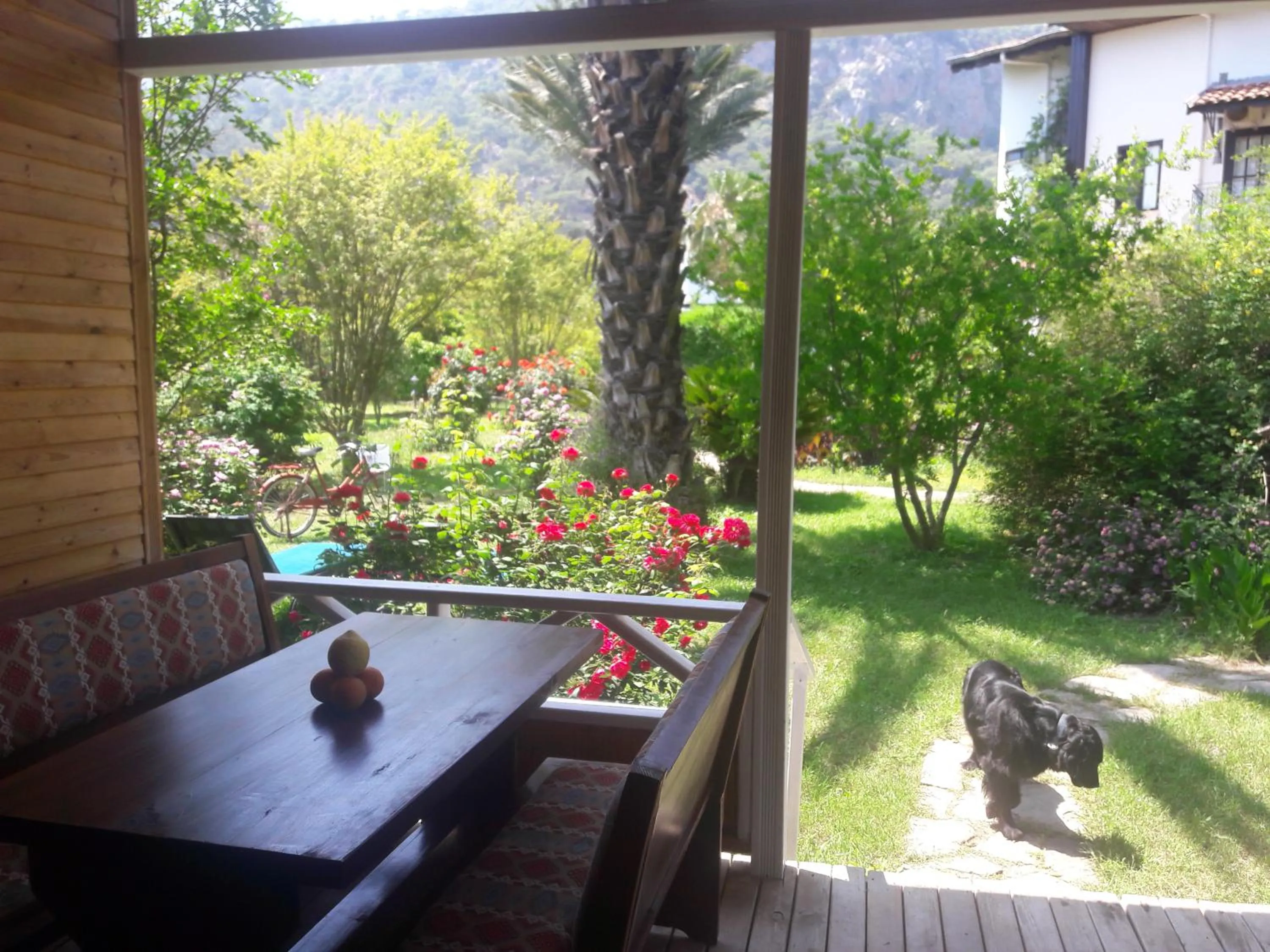 Balcony/Terrace in Hemerans Anatolia