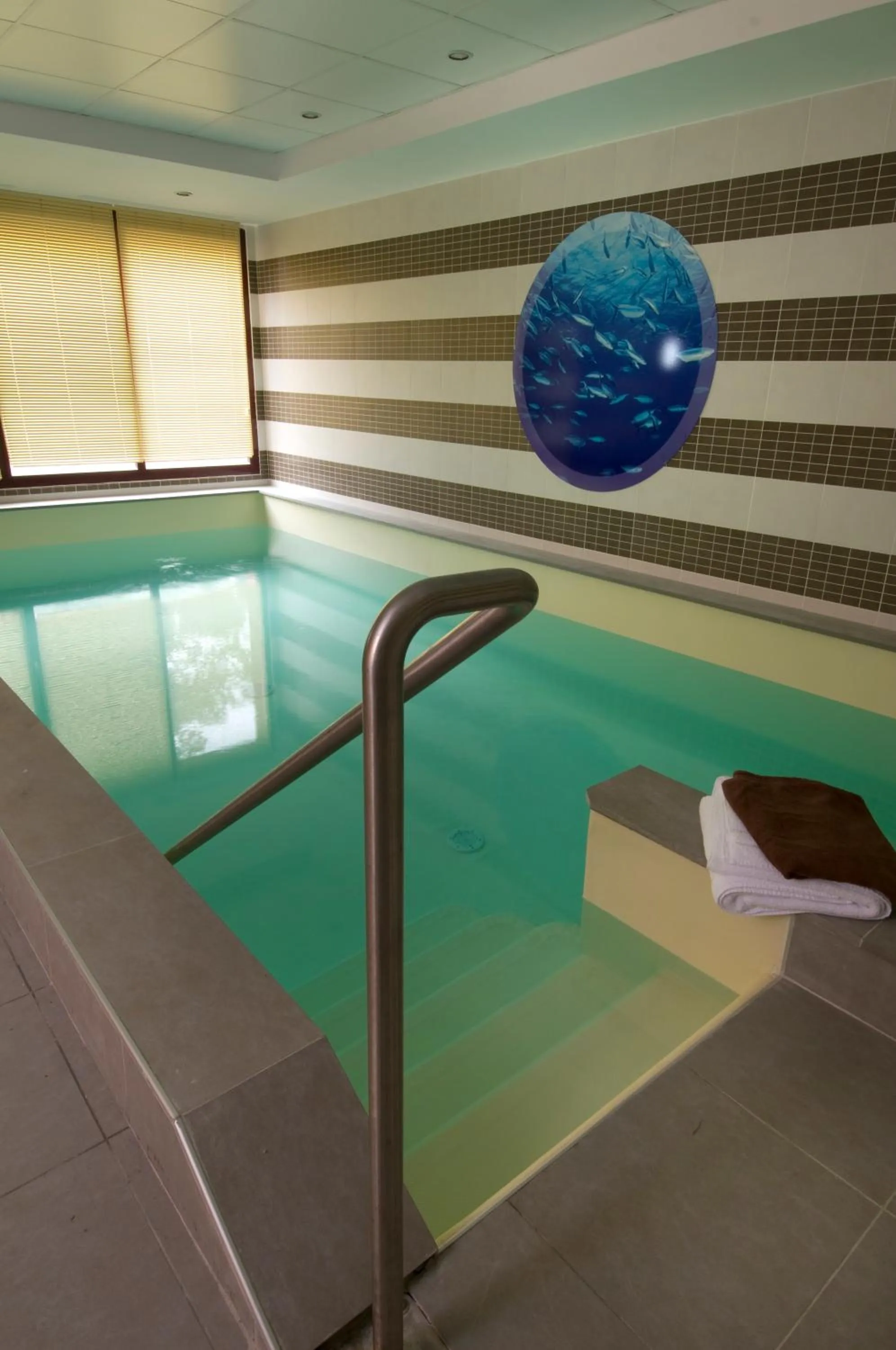 Swimming pool in Domitys Le Parc Saint Germain