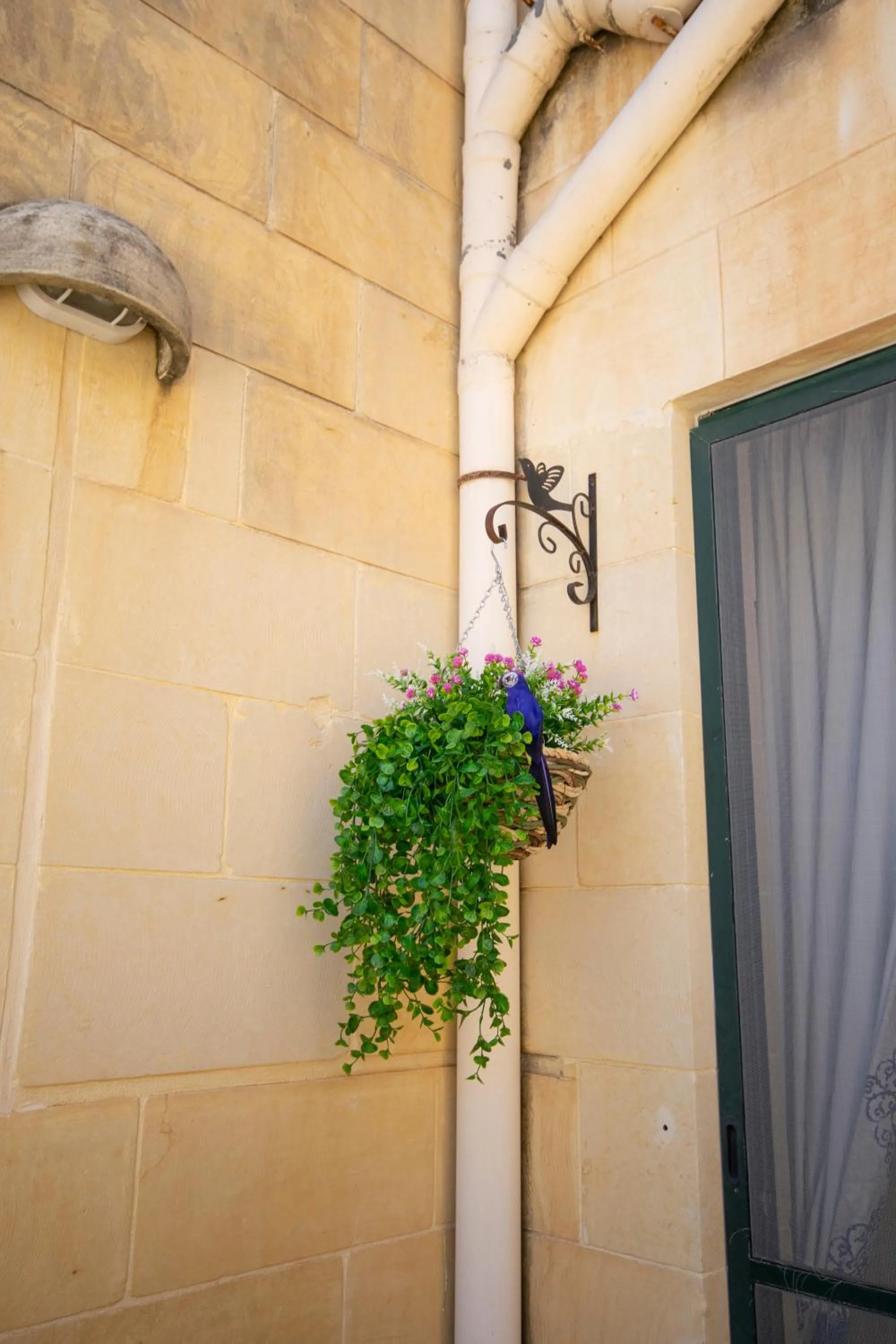 Garden in Razzett Ziffa