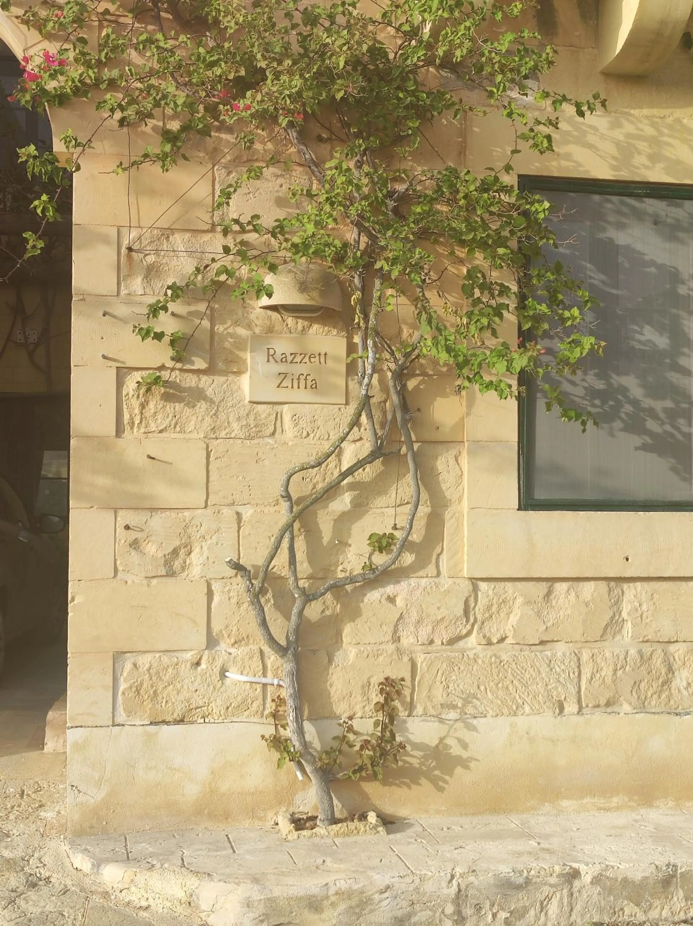 Facade/entrance in Razzett Ziffa