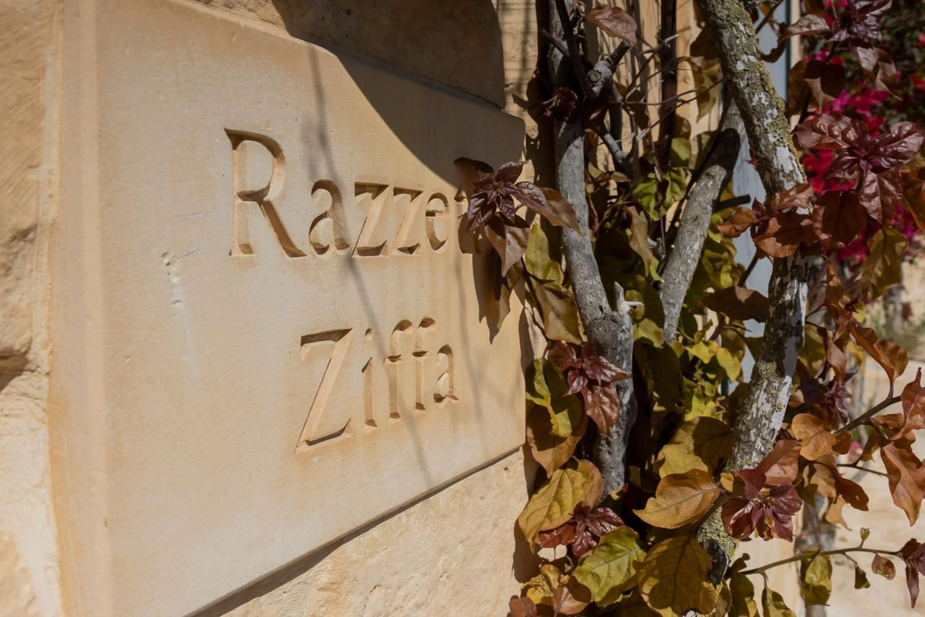 Property building in Razzett Ziffa