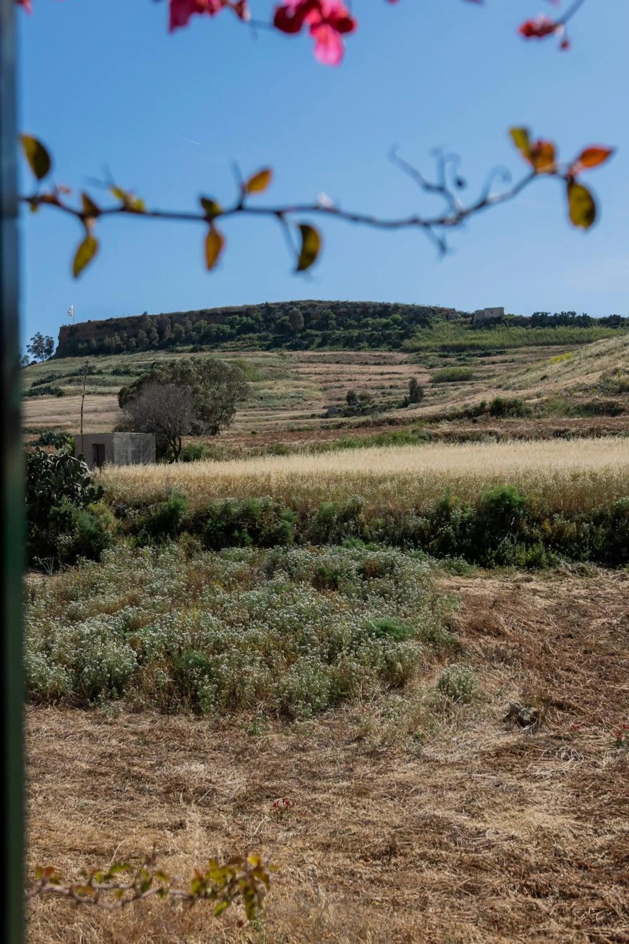 View (from property/room) in Razzett Ziffa