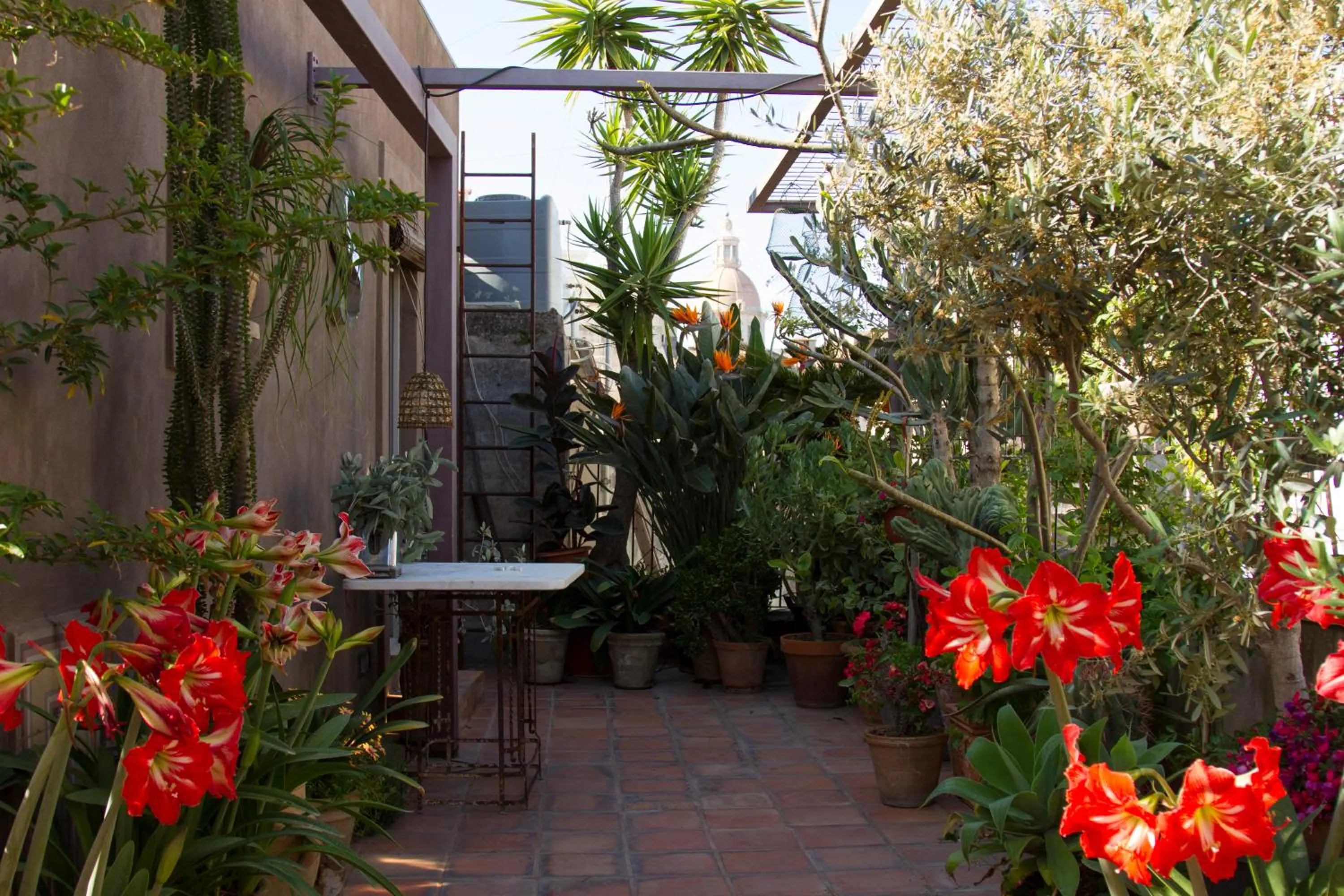 Balcony/Terrace in Tre Vie apARTment con terrazza