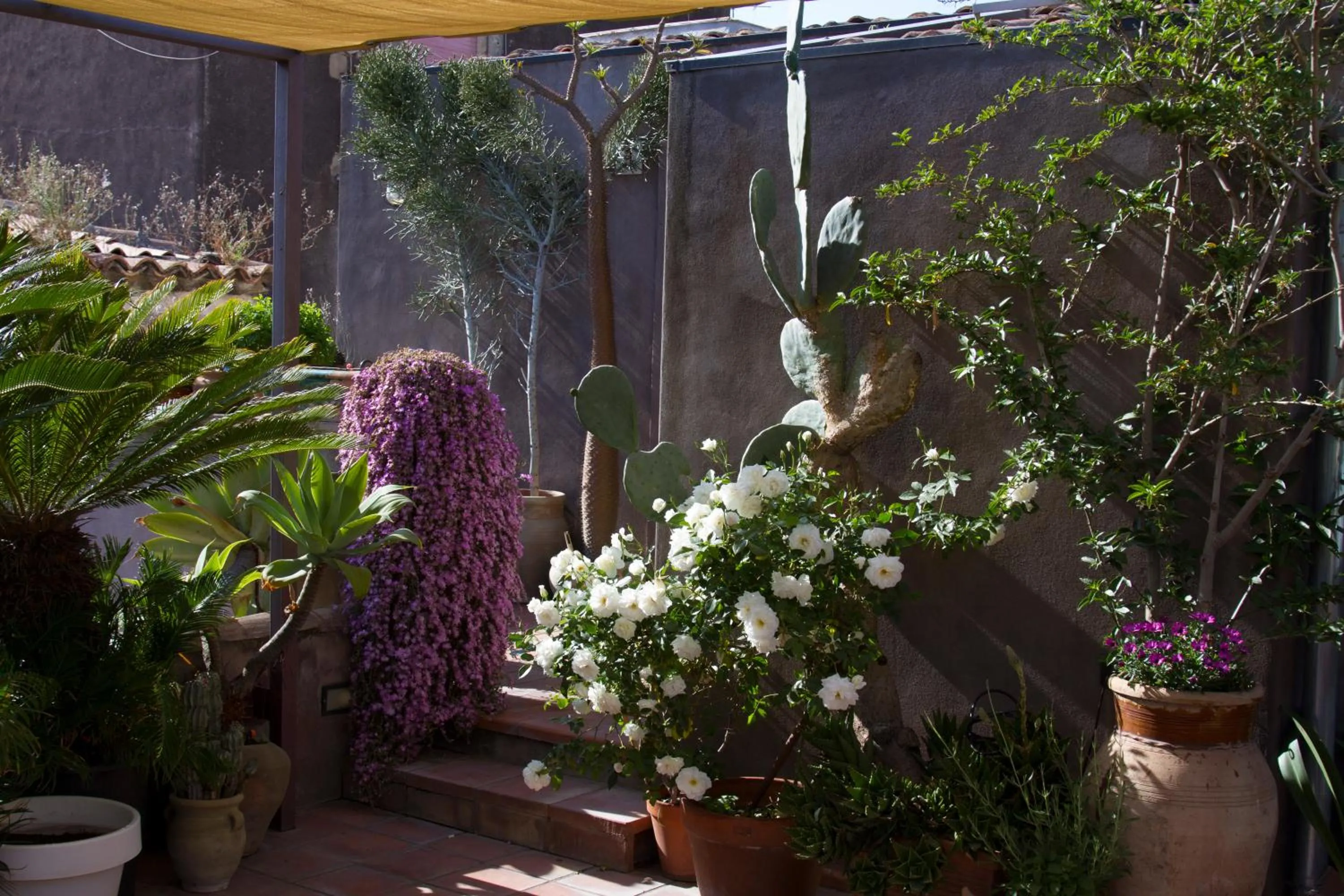 Balcony/Terrace in Tre Vie apARTment con terrazza