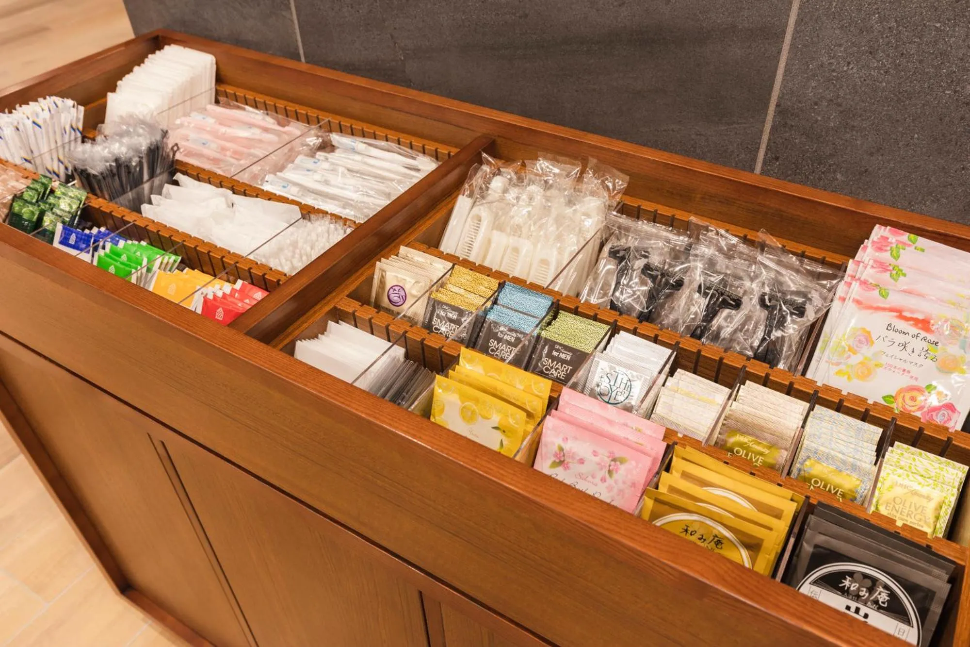 Sotetsu Fresa Inn Sapporo-Susukino