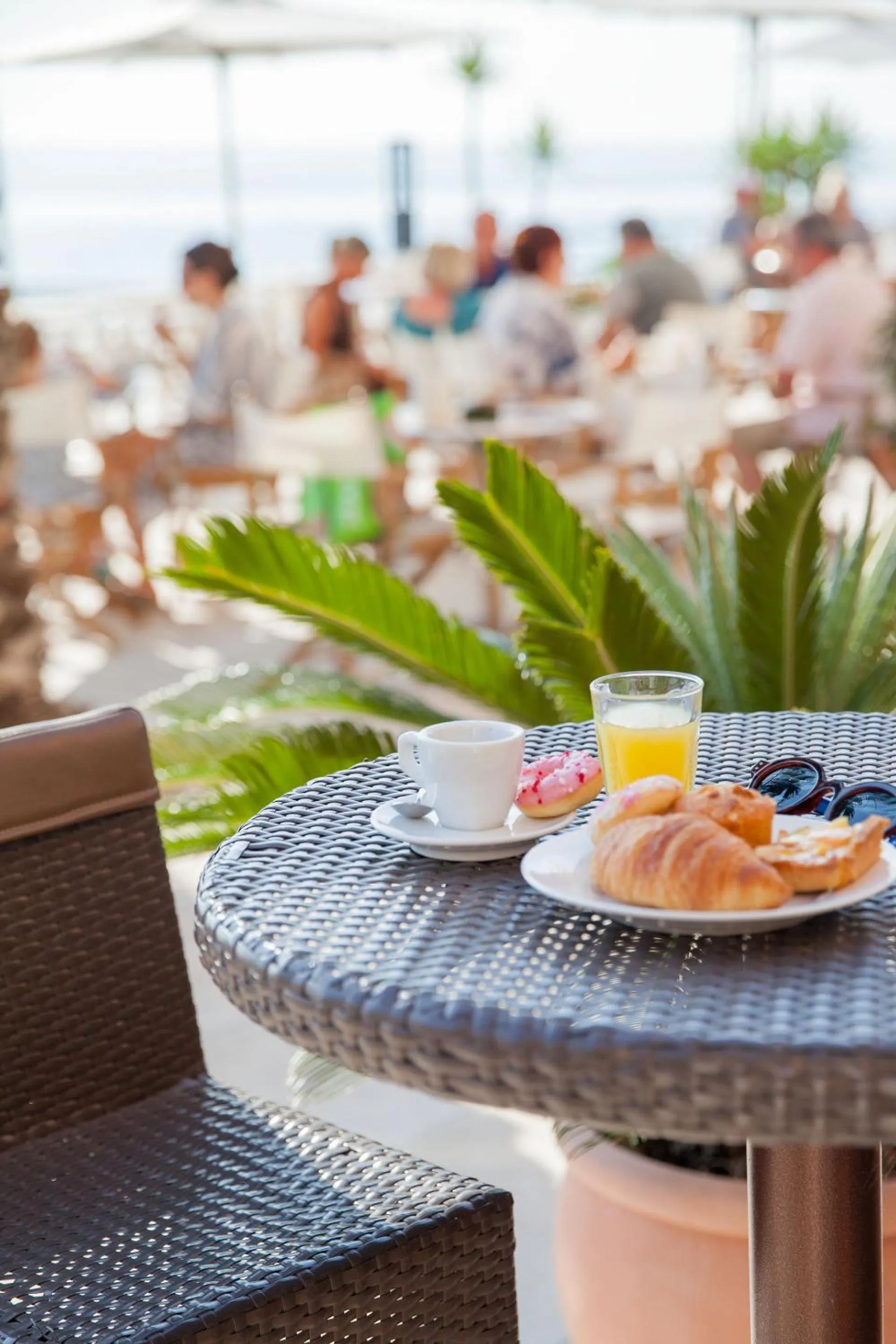 Restaurant/places to eat in Hotel Golfo e Palme