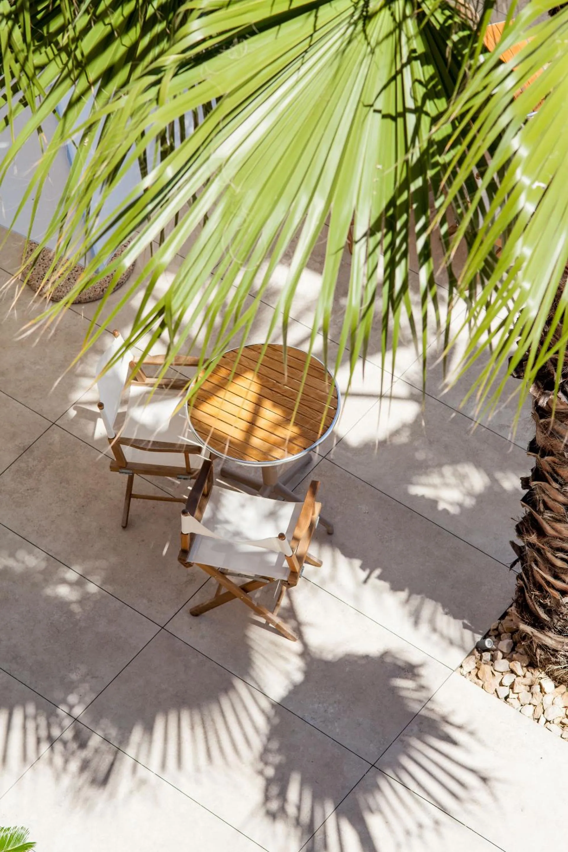 Balcony/Terrace in Hotel Golfo e Palme