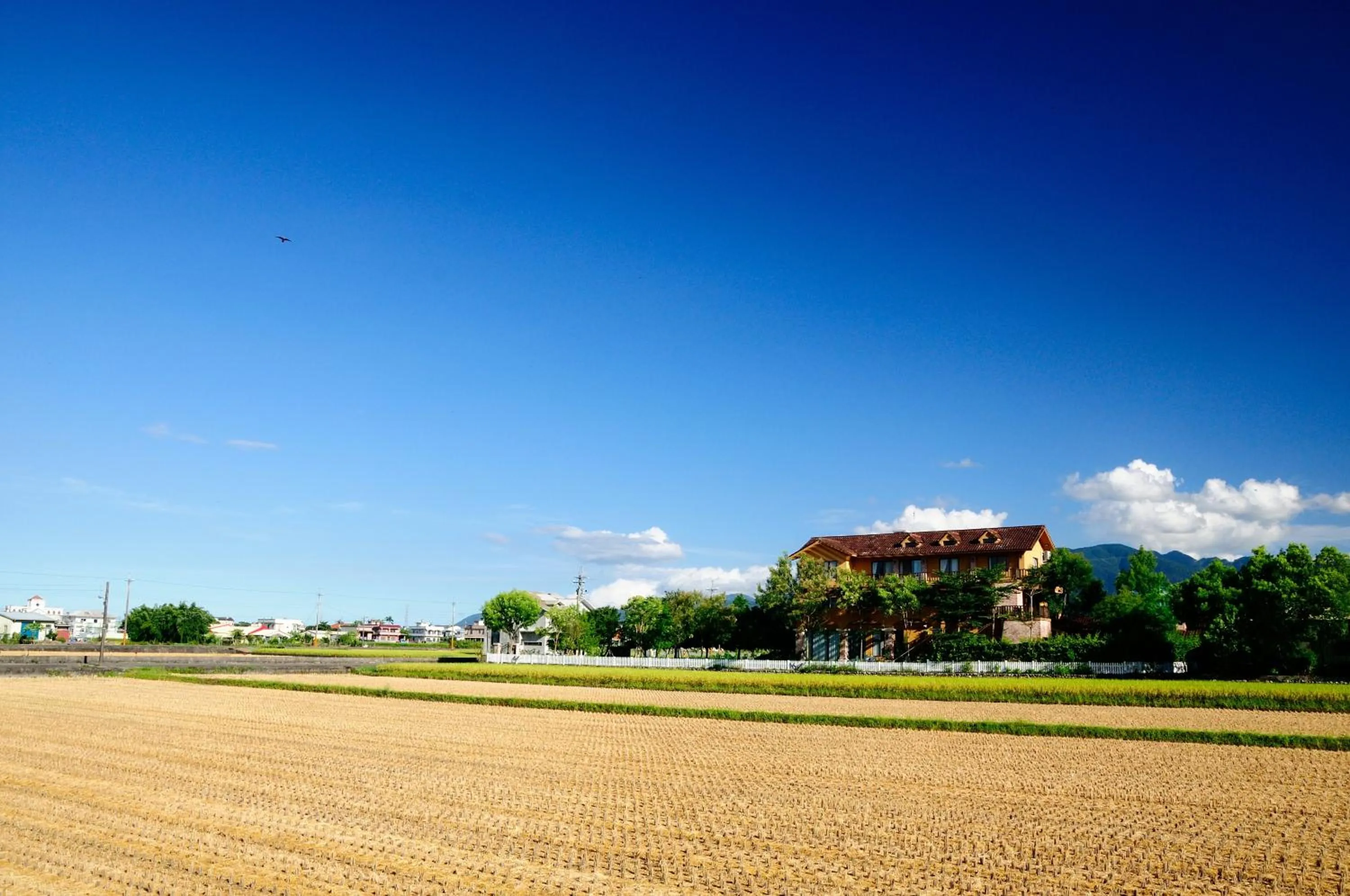 Facade/entrance in Sunday Home