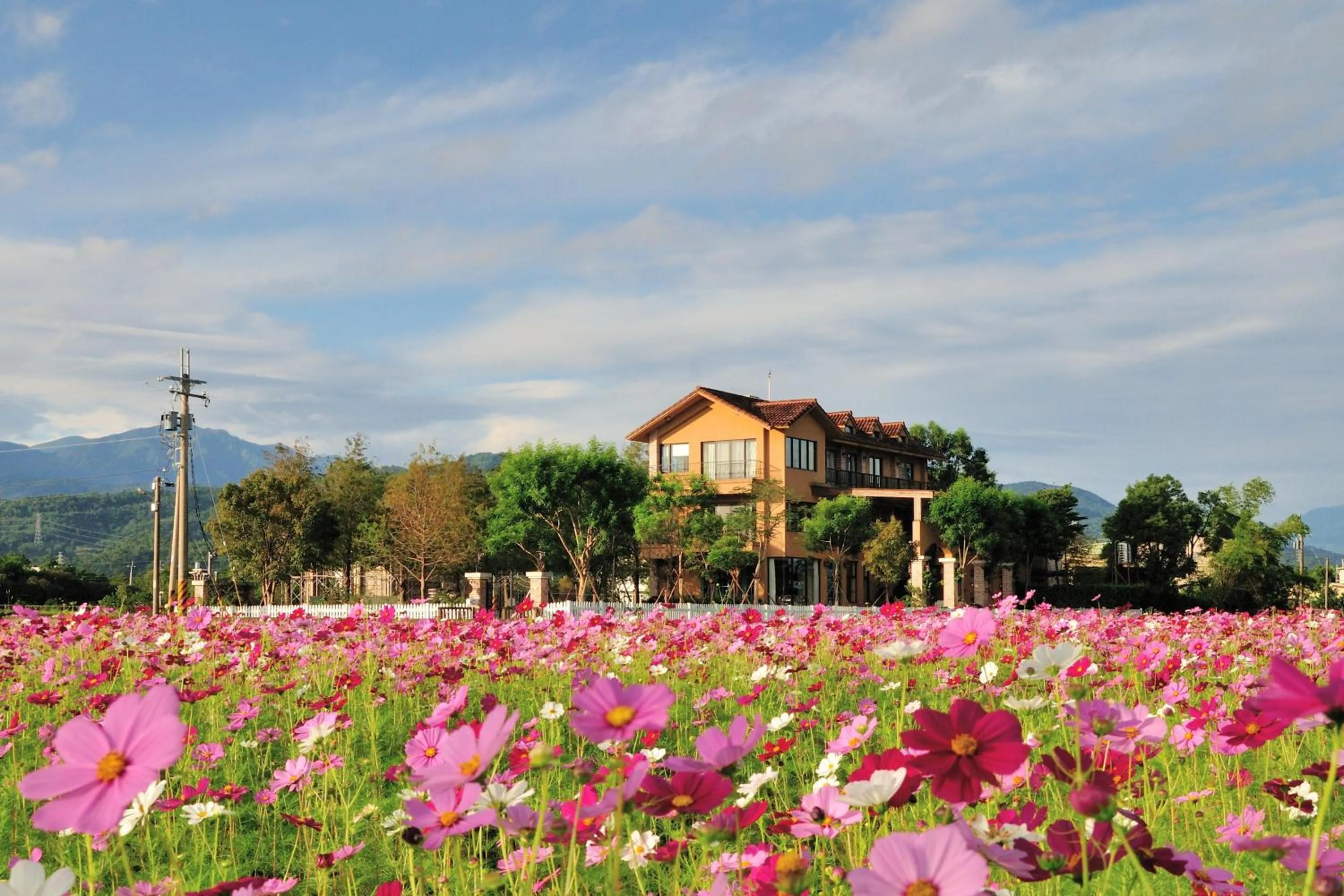 Facade/entrance in Sunday Home