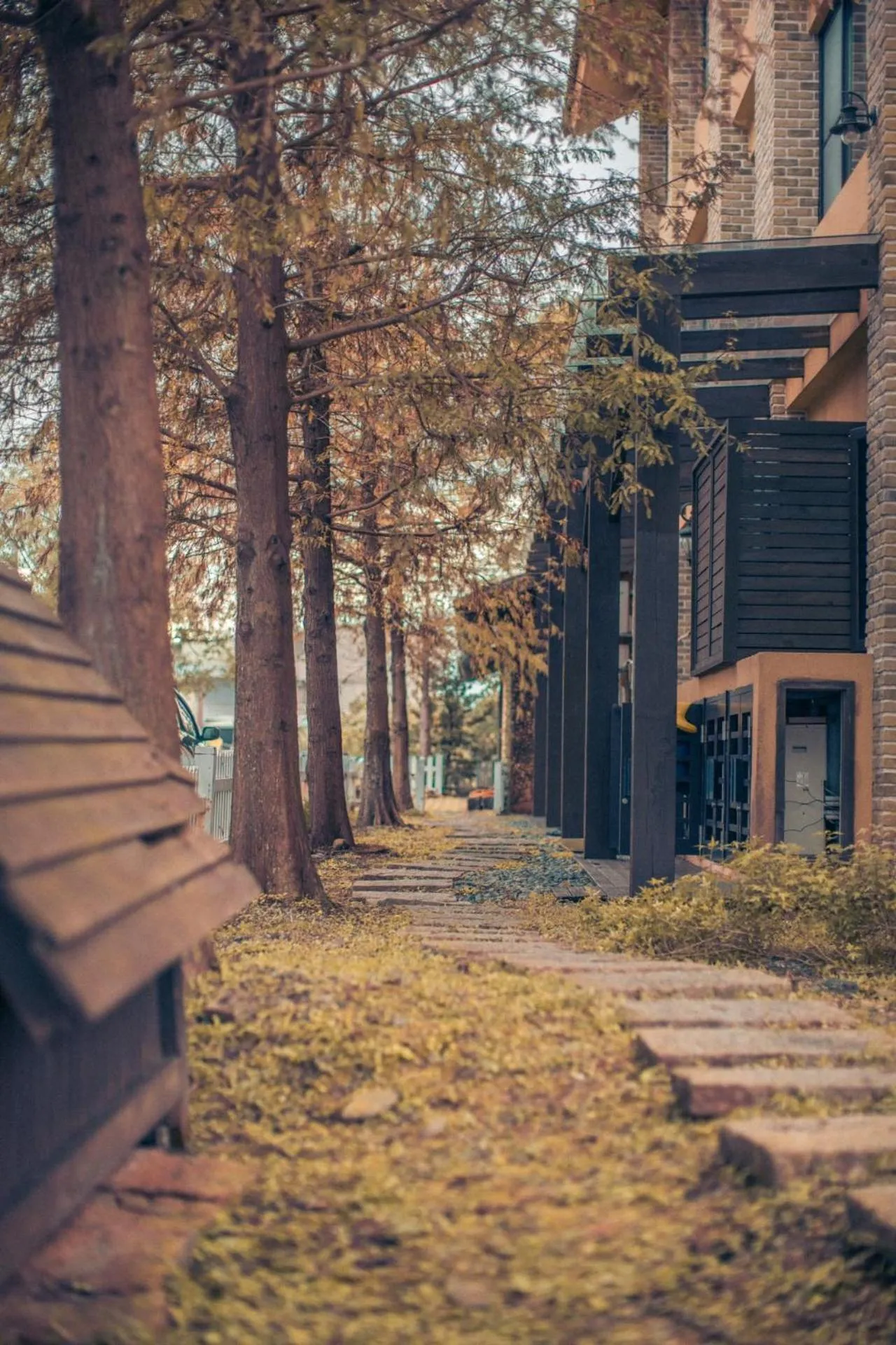 Facade/entrance in Sunday Home