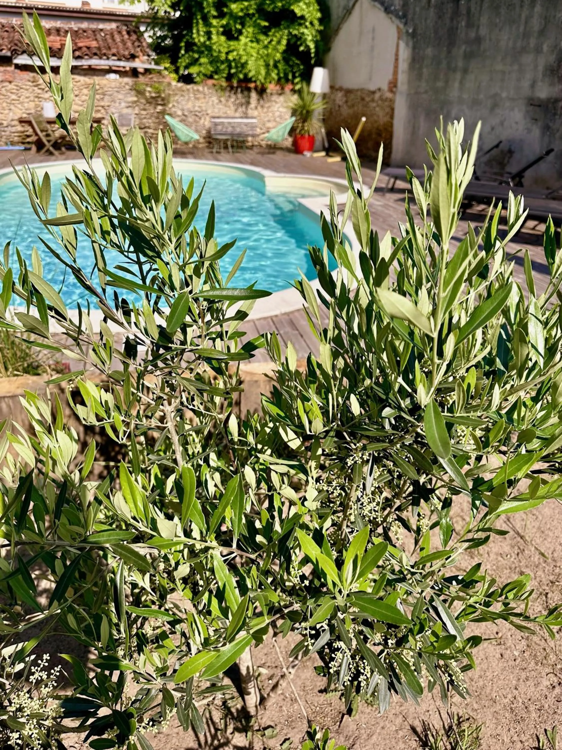Swimming pool in La Maison Florence