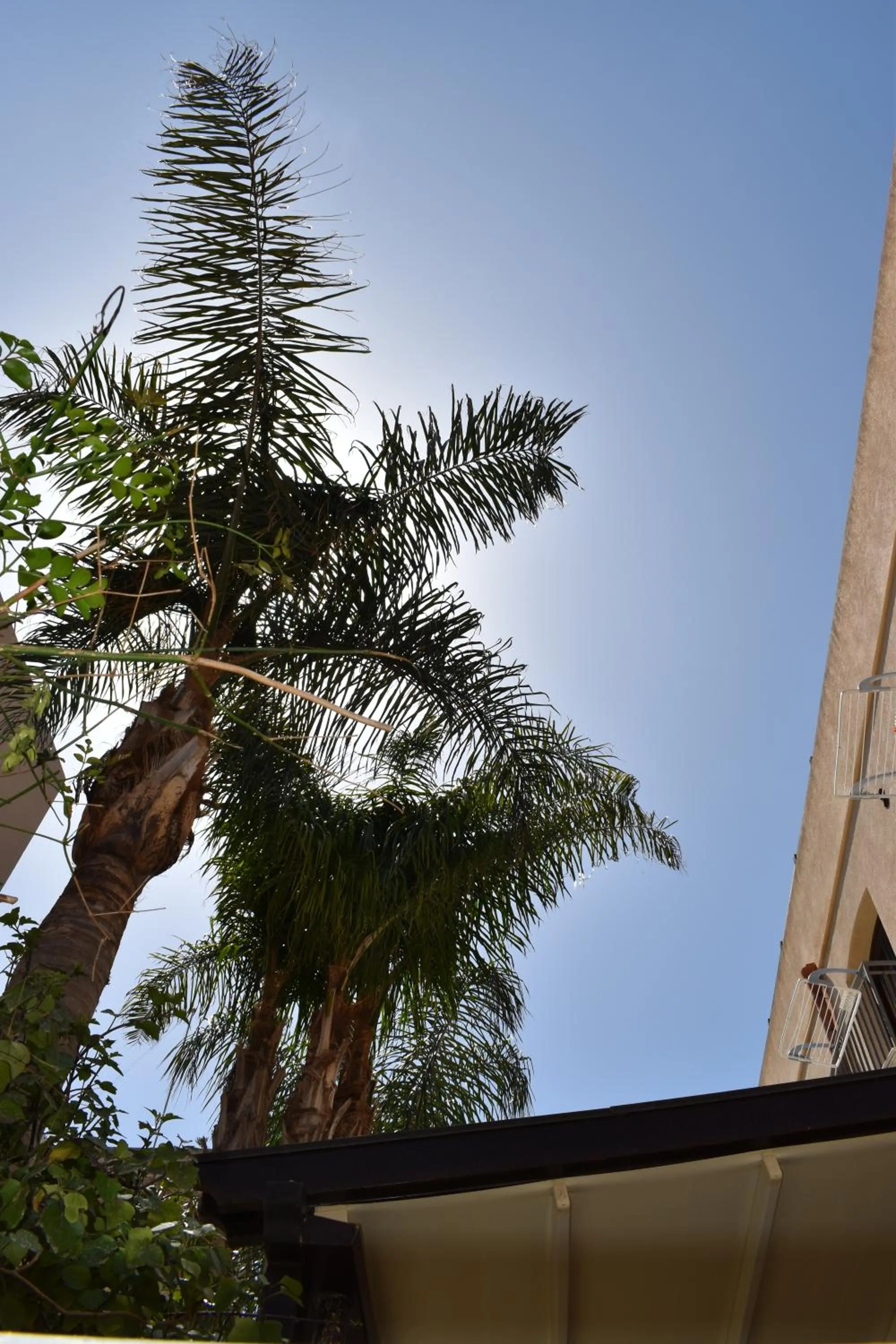 Garden in Hotel Il Portico