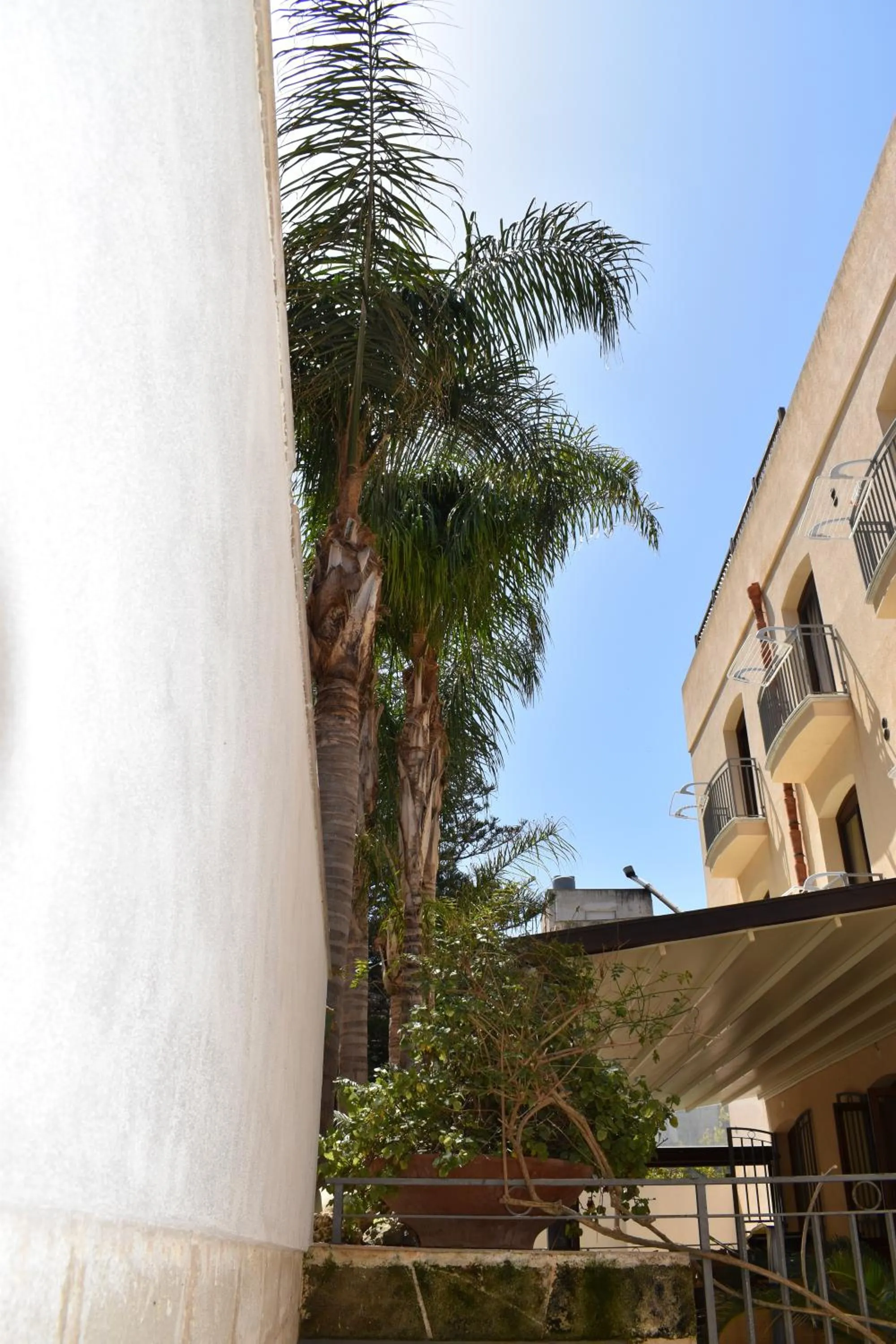 Garden in Hotel Il Portico