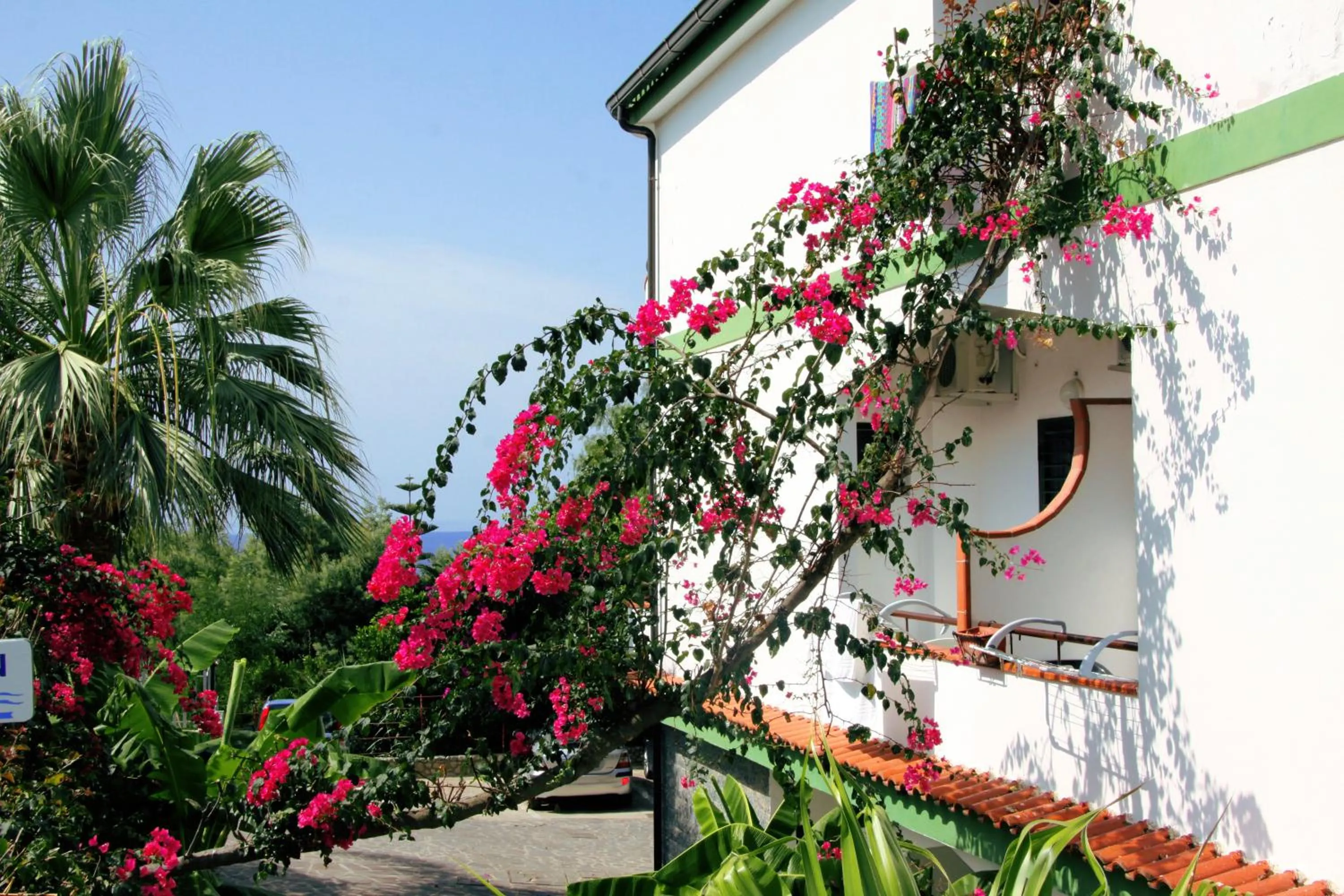 Decorative detail in Hotel MARINELLA parking wi-fi spiaggia attrezzata