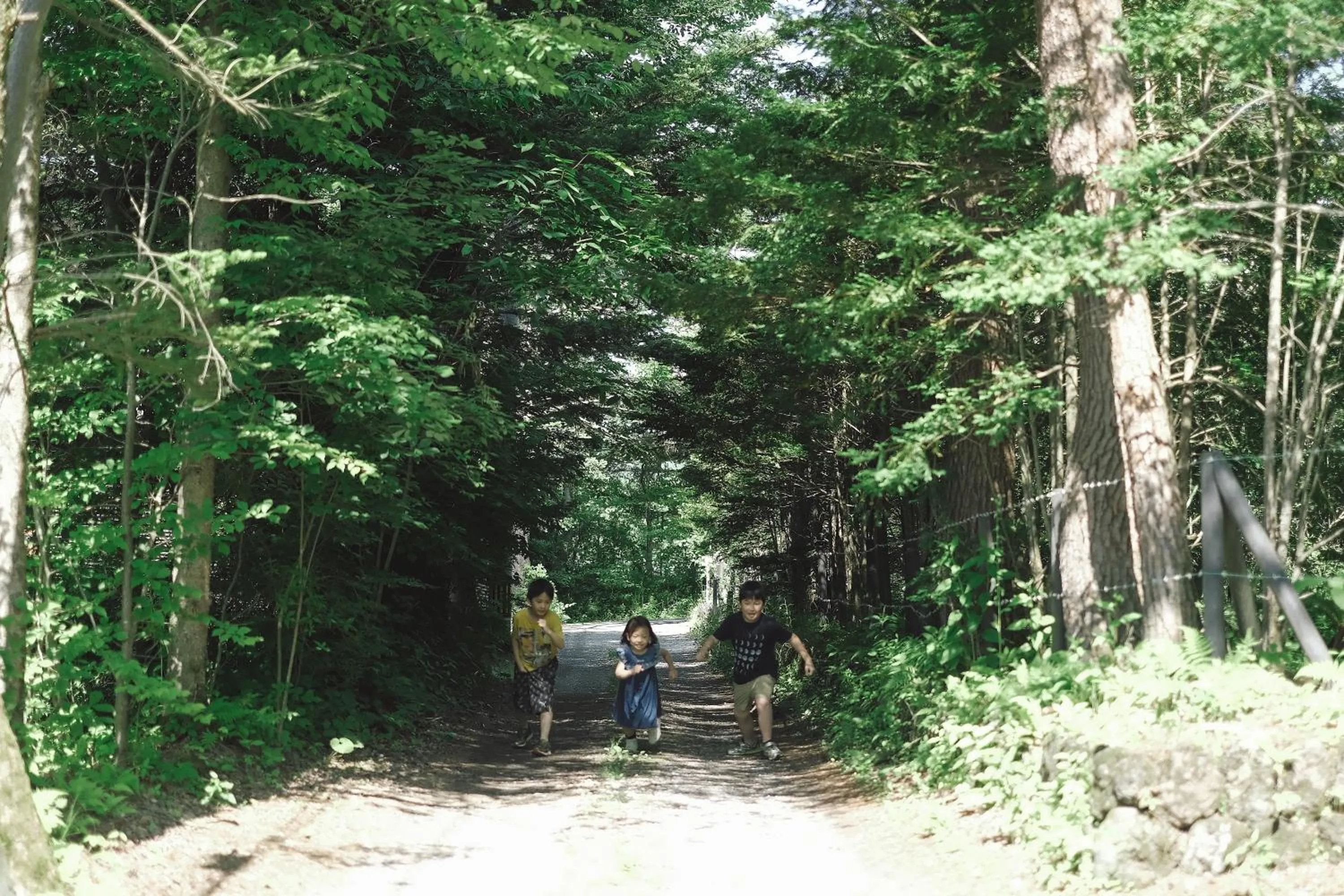 Spring in Karuizawa Forest Seasons Villa