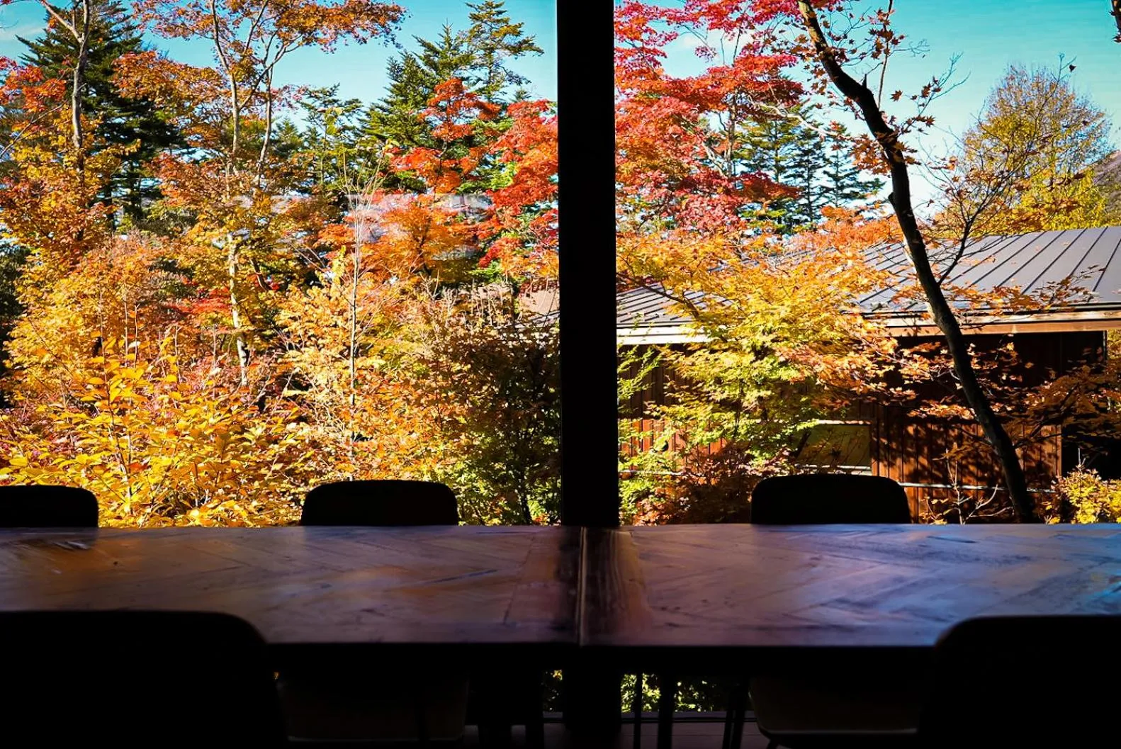 Restaurant/places to eat in Karuizawa Forest Seasons Villa