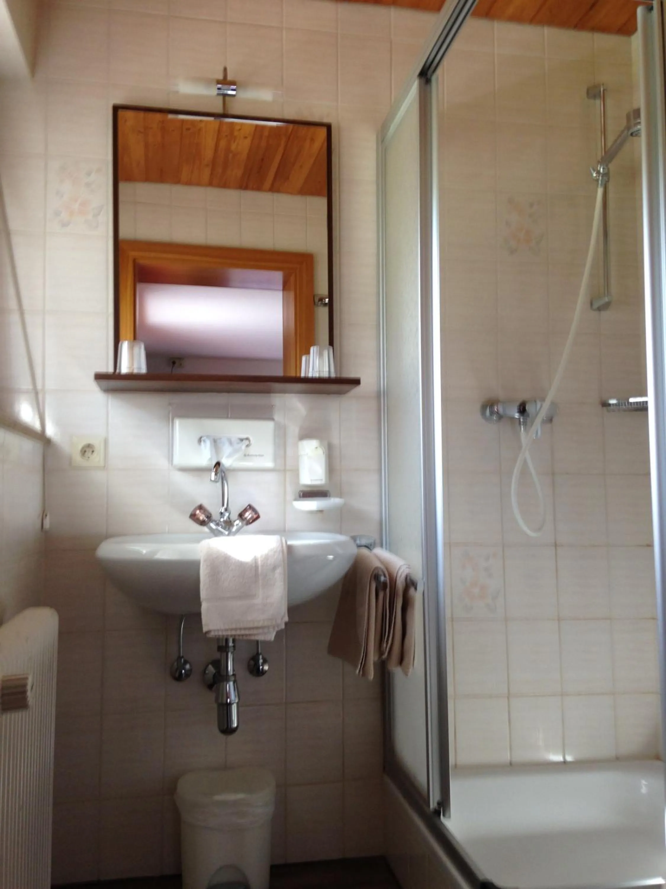 Bathroom in Hotel Erika