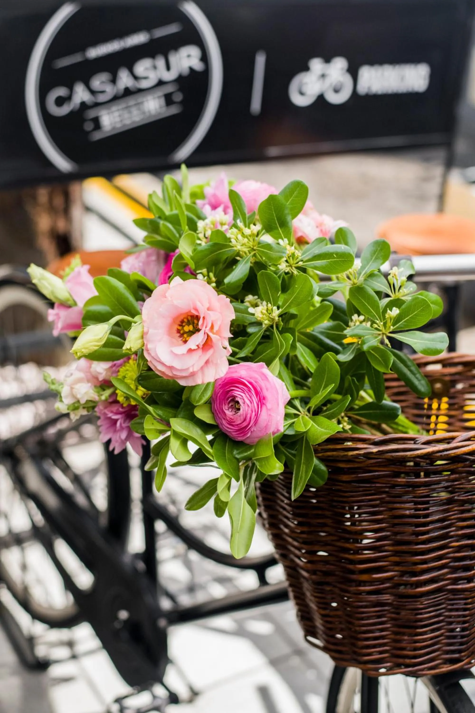 Decorative detail in CasaSur Bellini