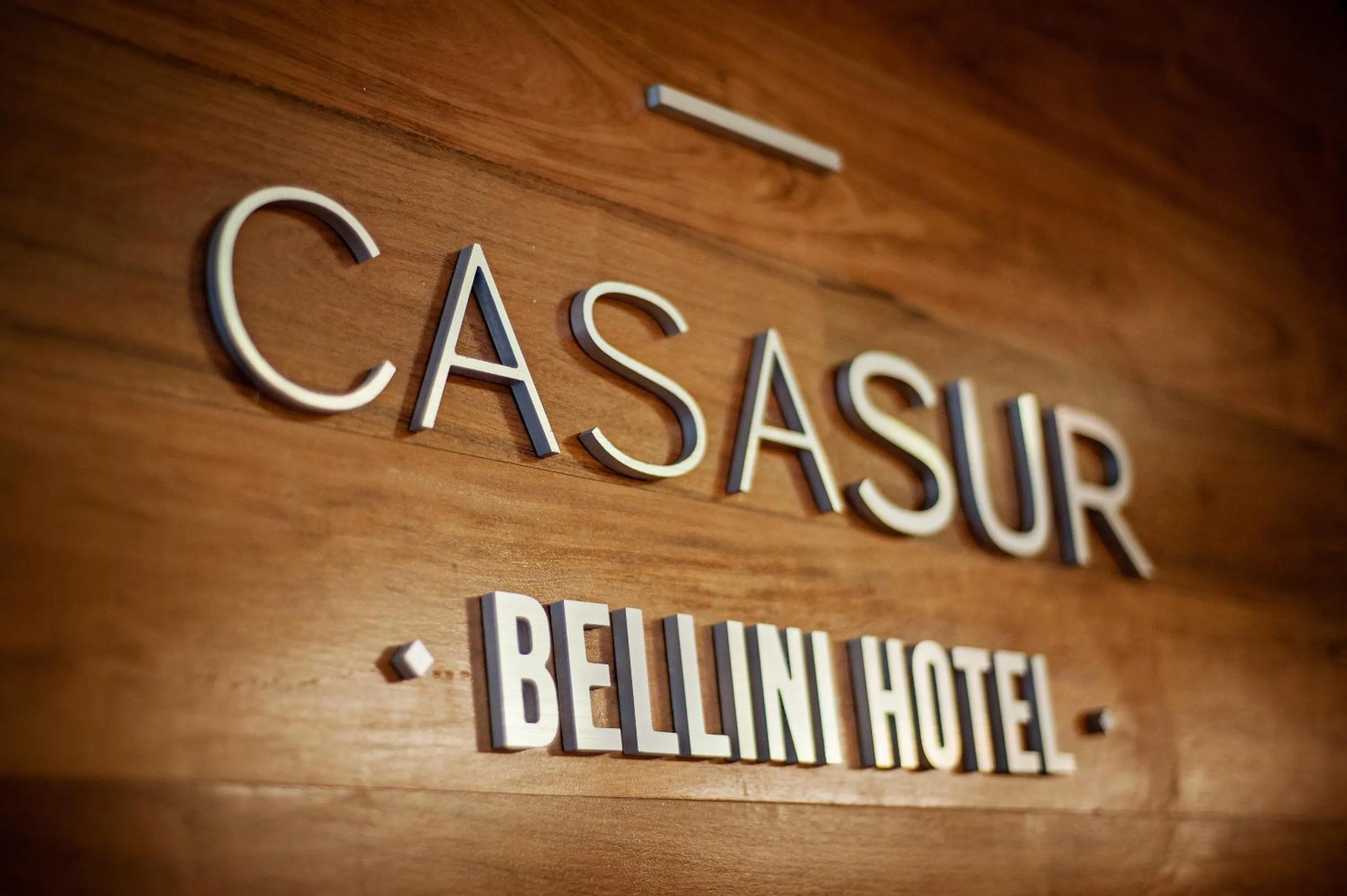 Property logo or sign in CasaSur Bellini