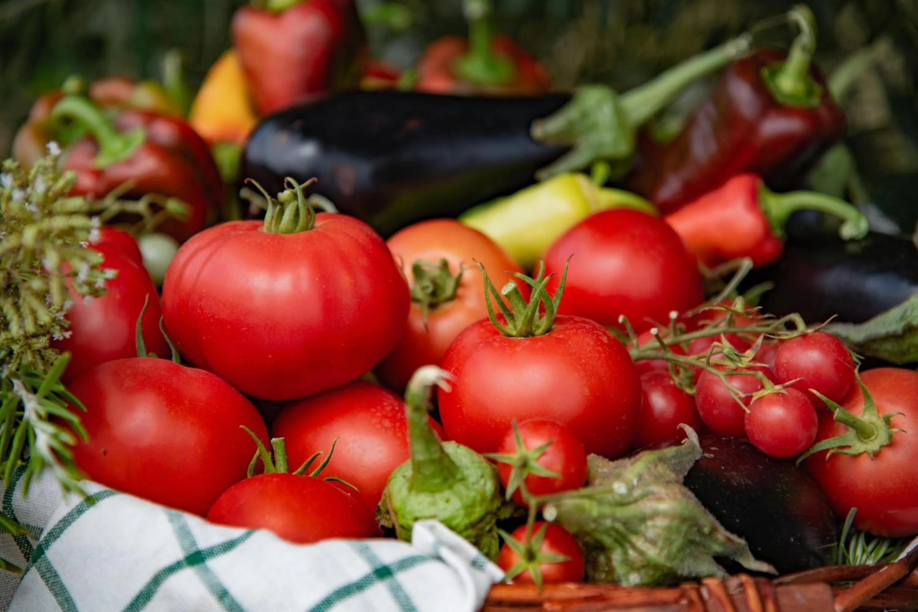 Restaurant/places to eat in Potidea Palace Hotel