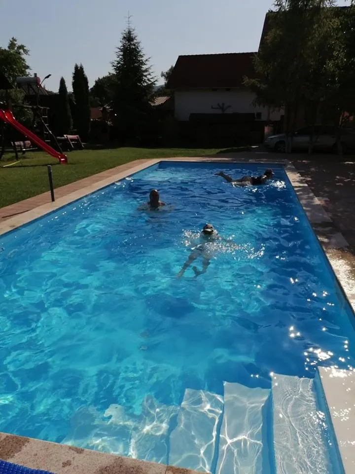 Swimming pool in PENSIUNEA KELEMEN