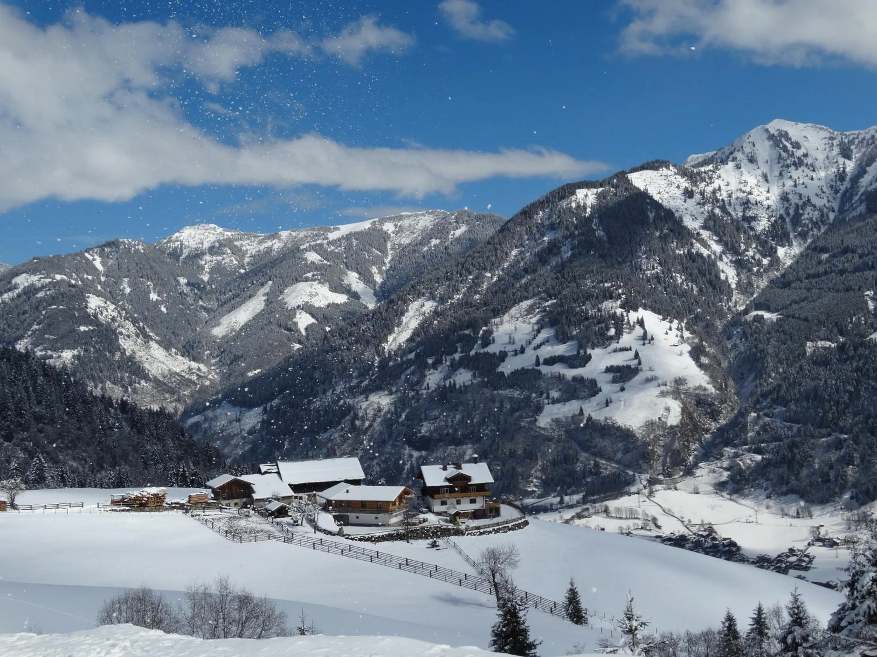 Brandebengut