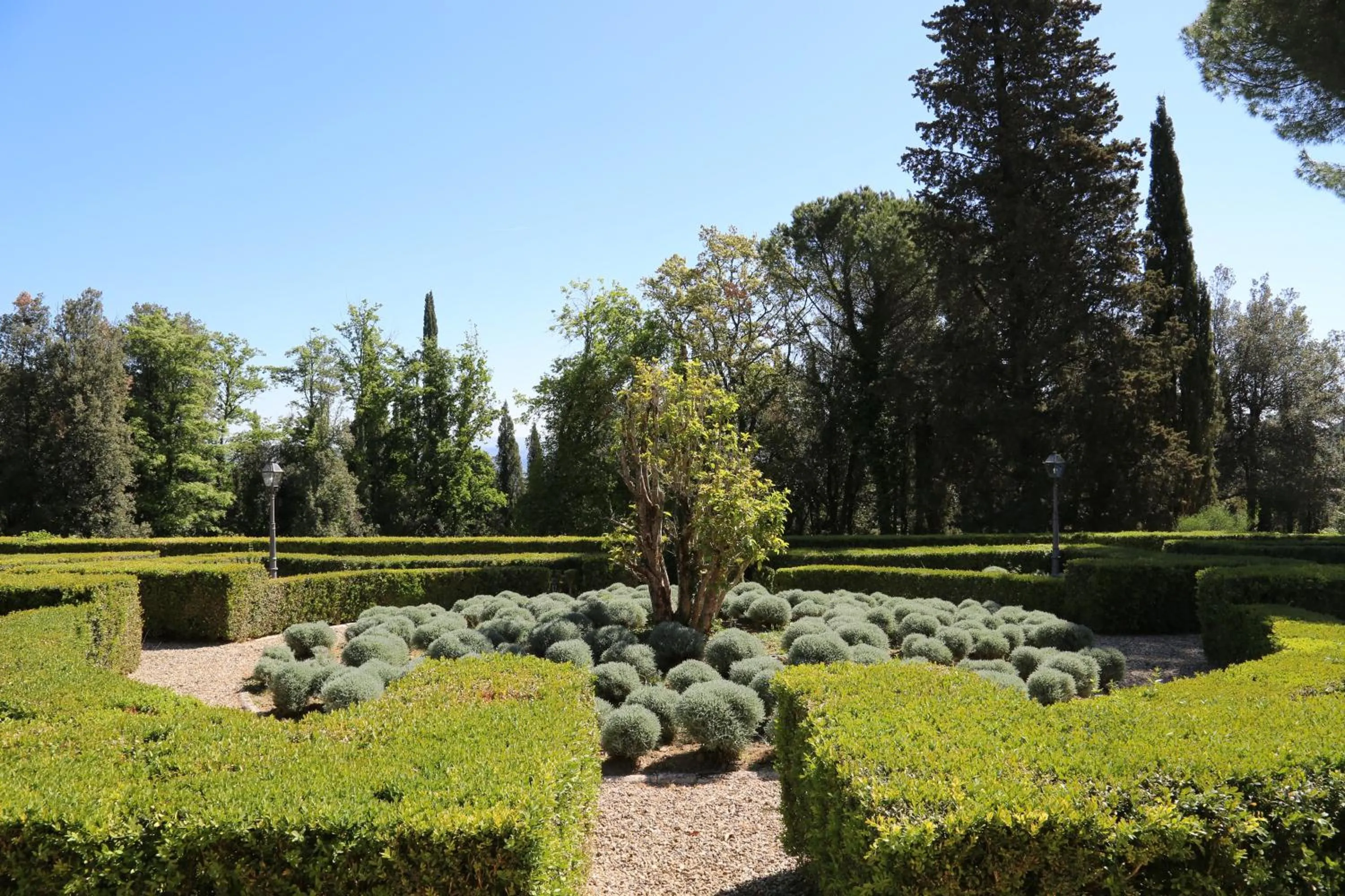 Garden in Hotel La Collegiata