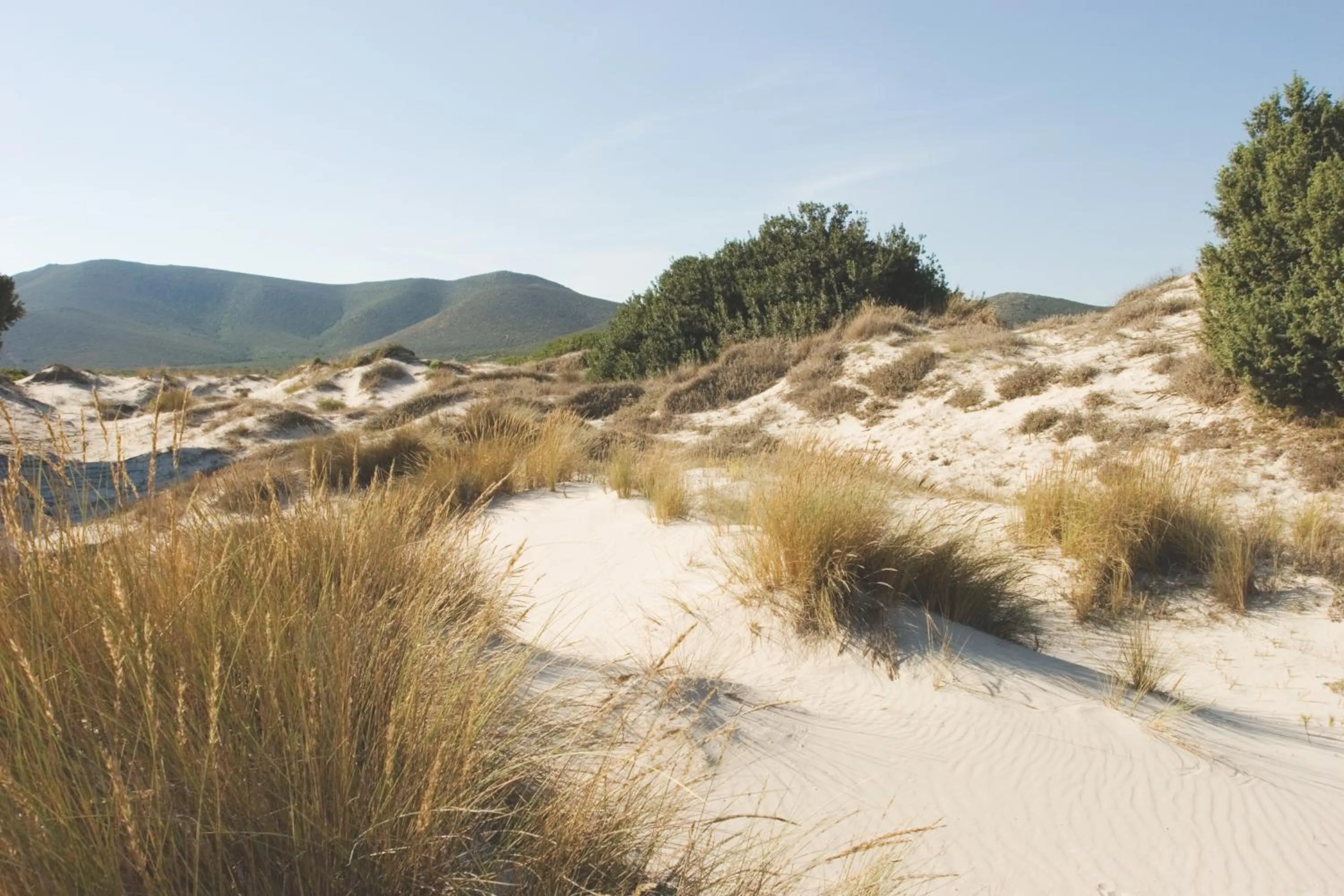 Area and facilities in Hotel Aquadulci