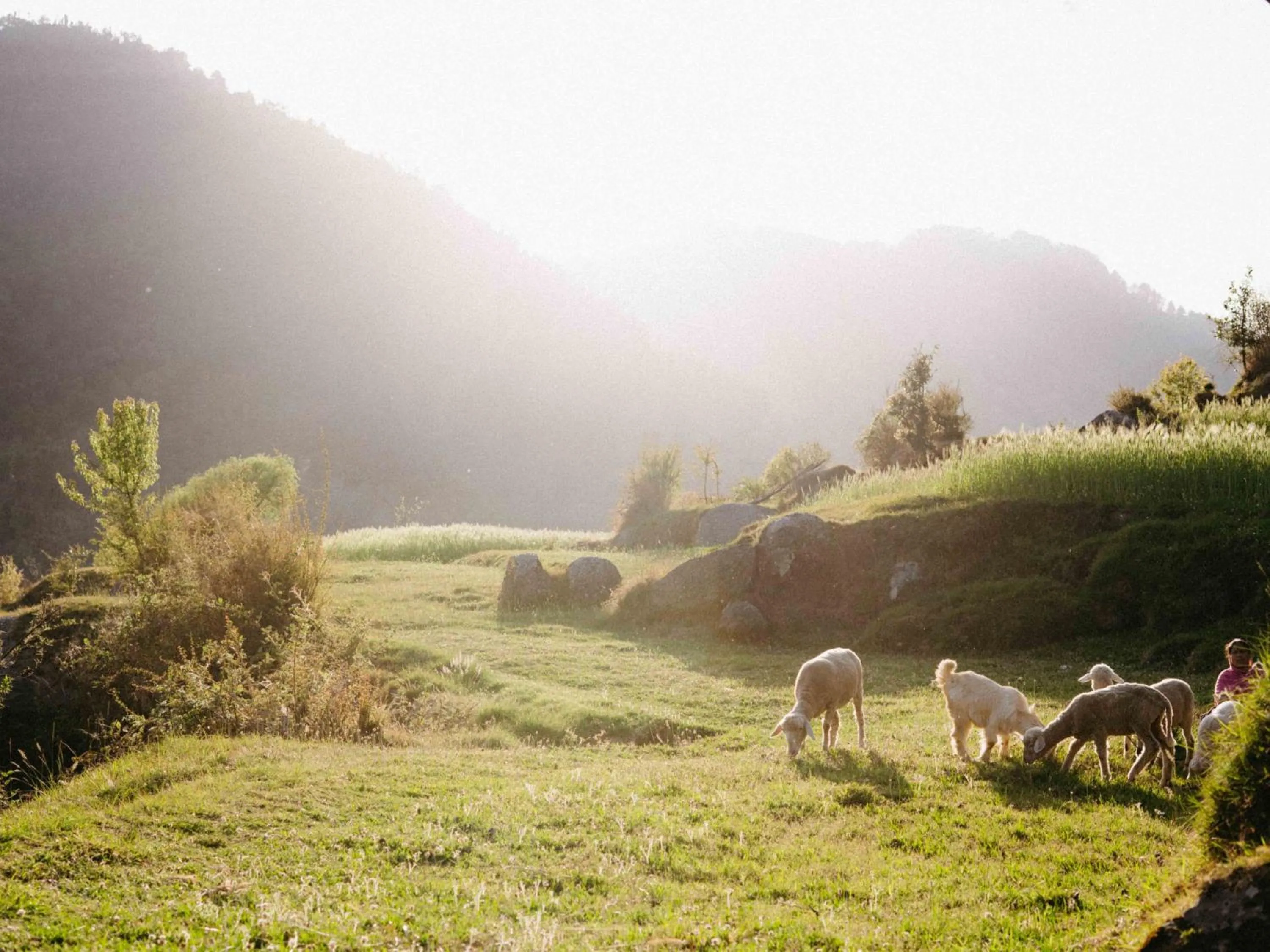 Day in The Hosteller Kareri