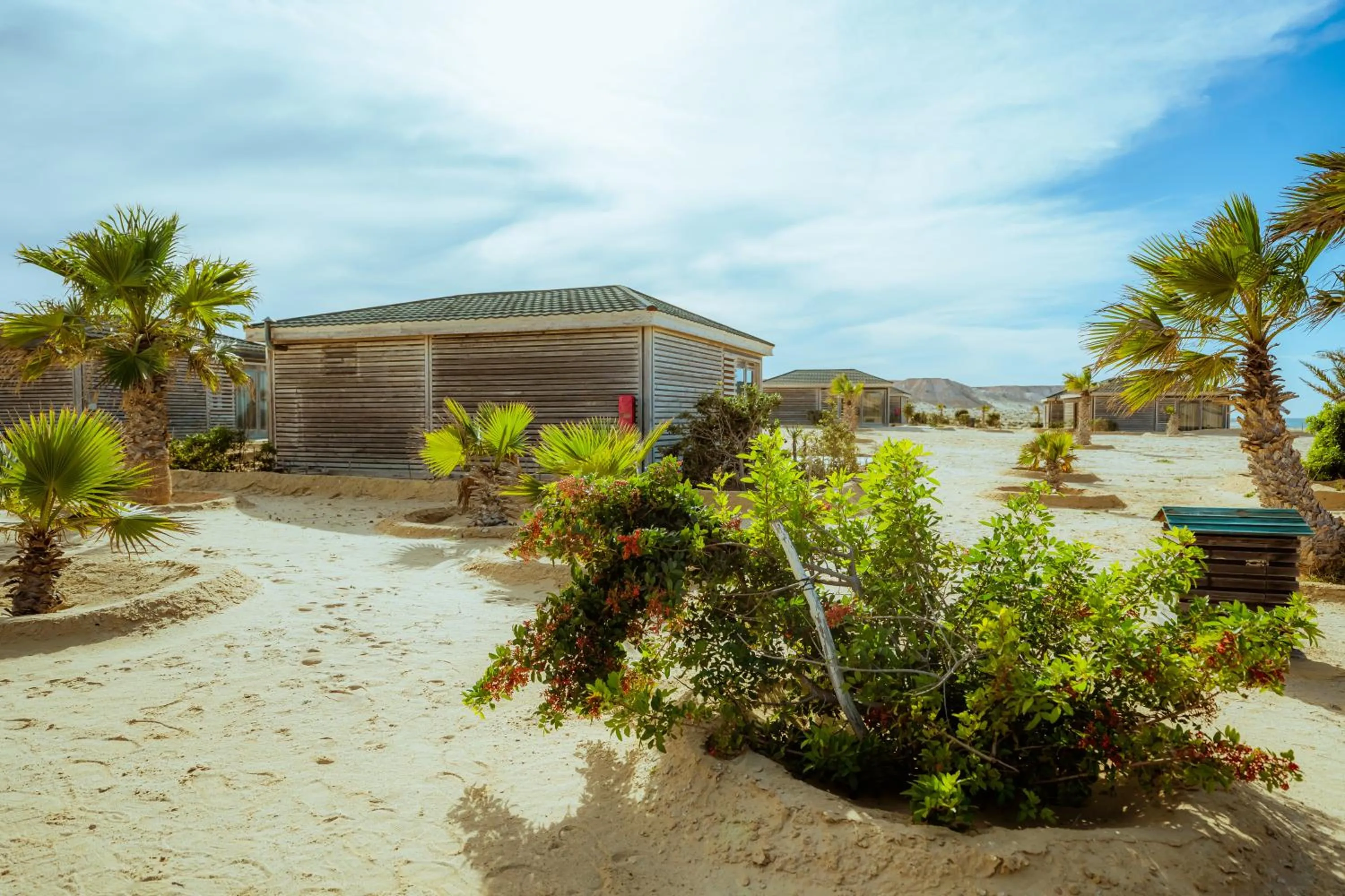 View (from property/room) in Oasis212 Dakhla