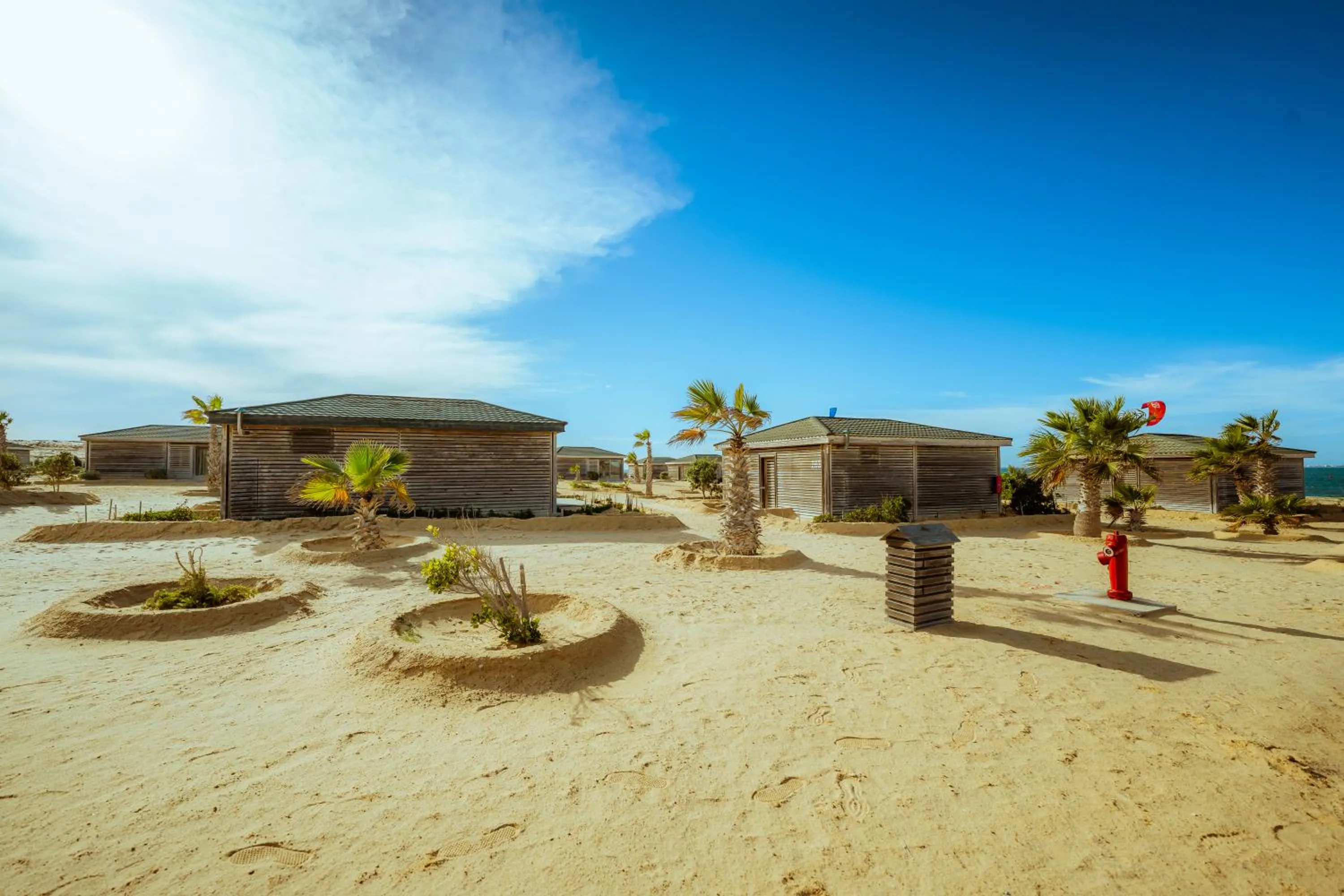 Day in Oasis212 Dakhla