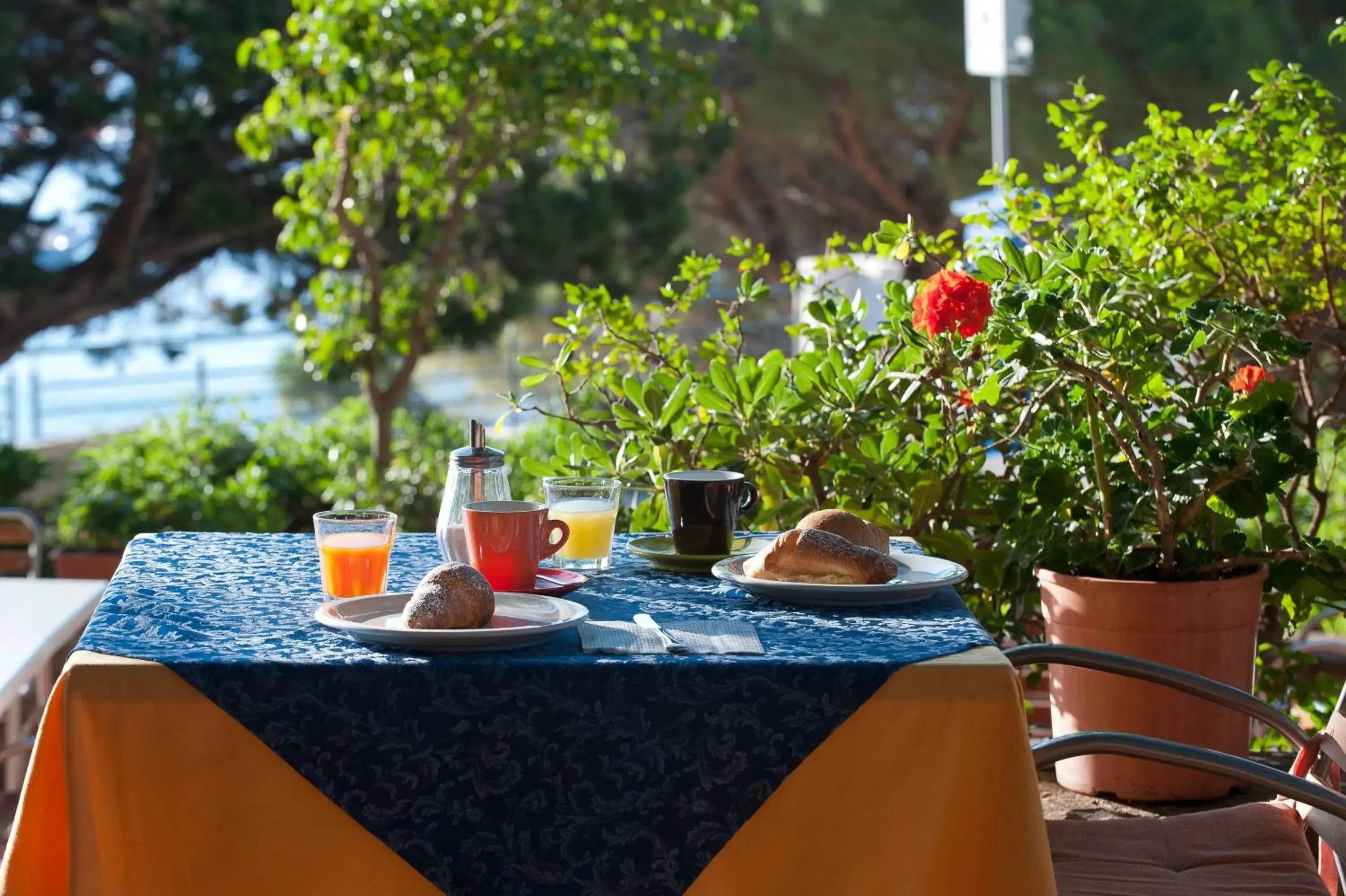 Breakfast in Albergo Miramare Breakfast in Albergo Miramare