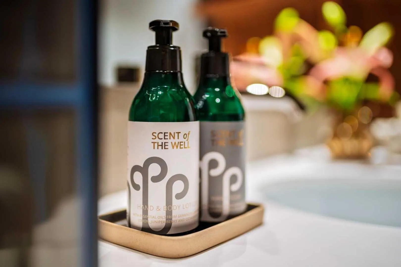 Bathroom in The Well