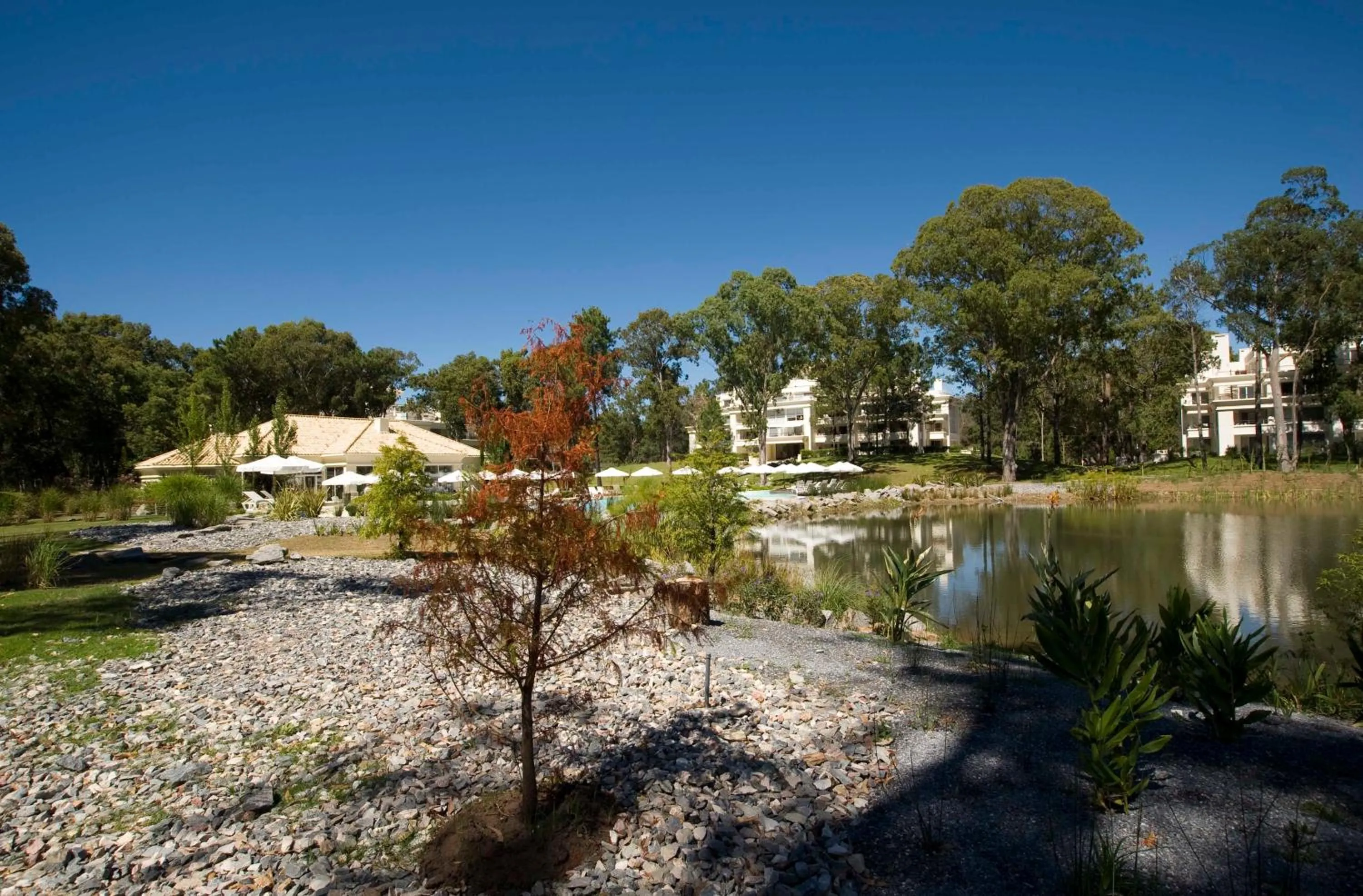 Lake view in Green Park Punta 2