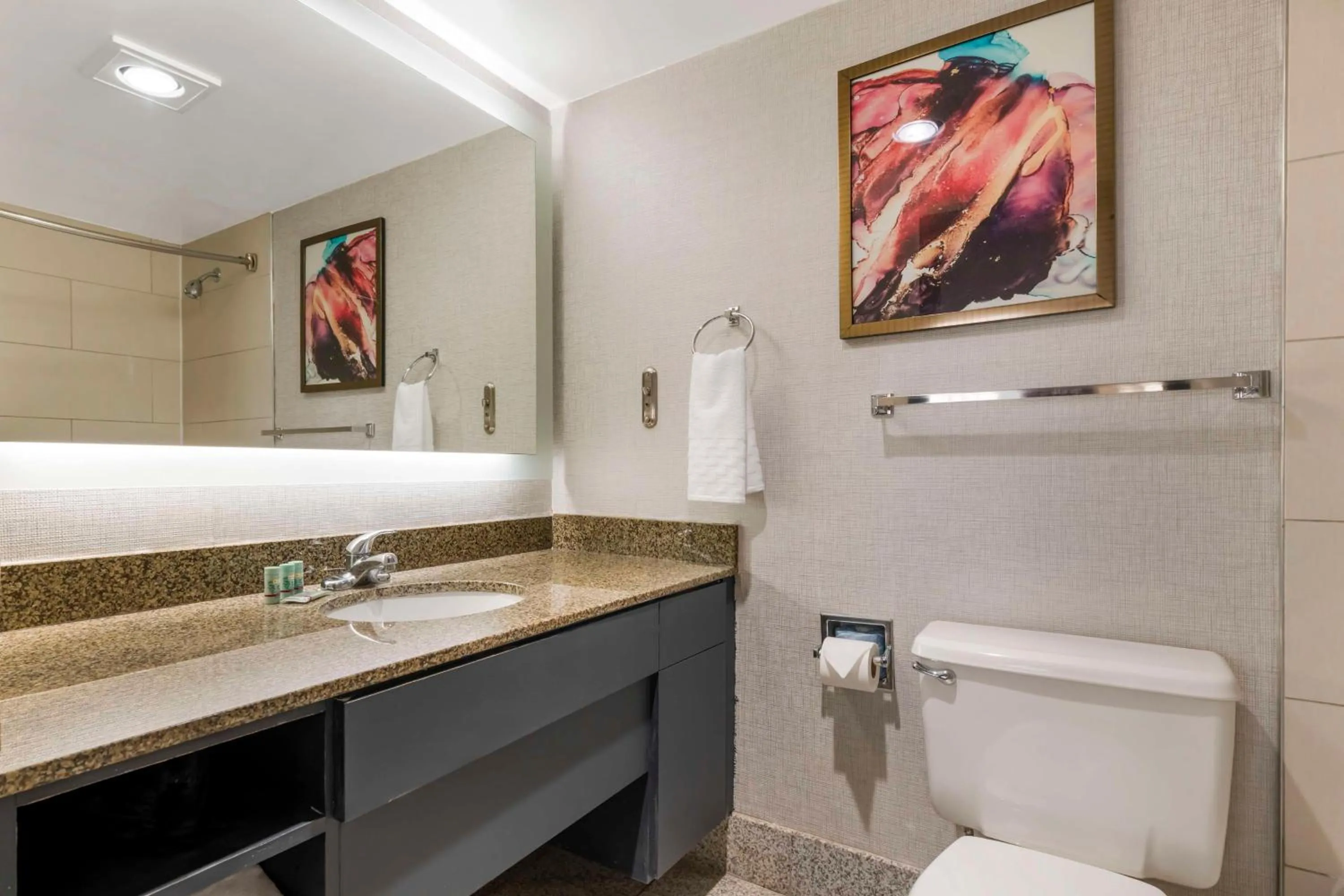 Shower in Best Western Brooklyn Center Hotel & Conference Center