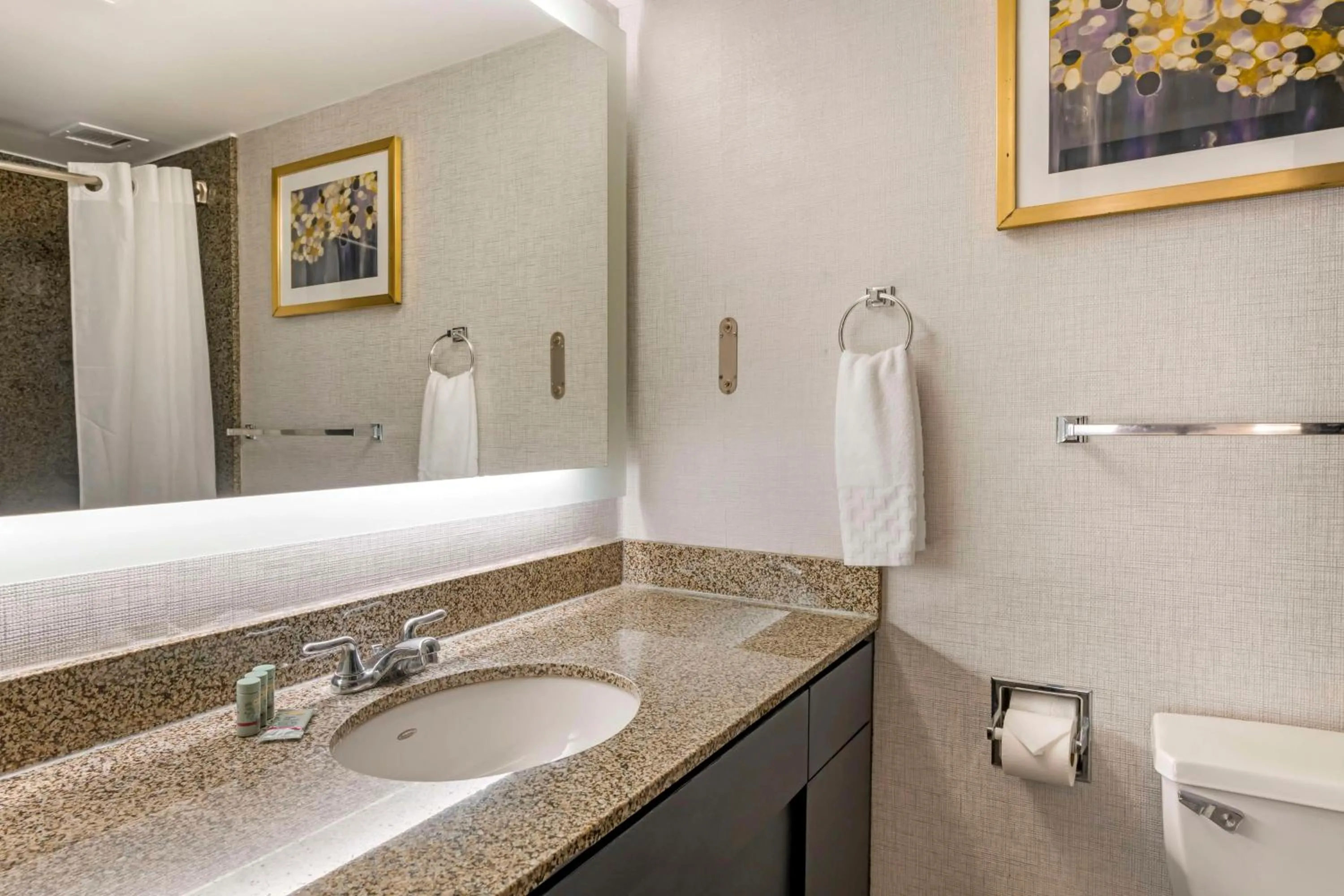 Shower in Best Western Brooklyn Center Hotel & Conference Center