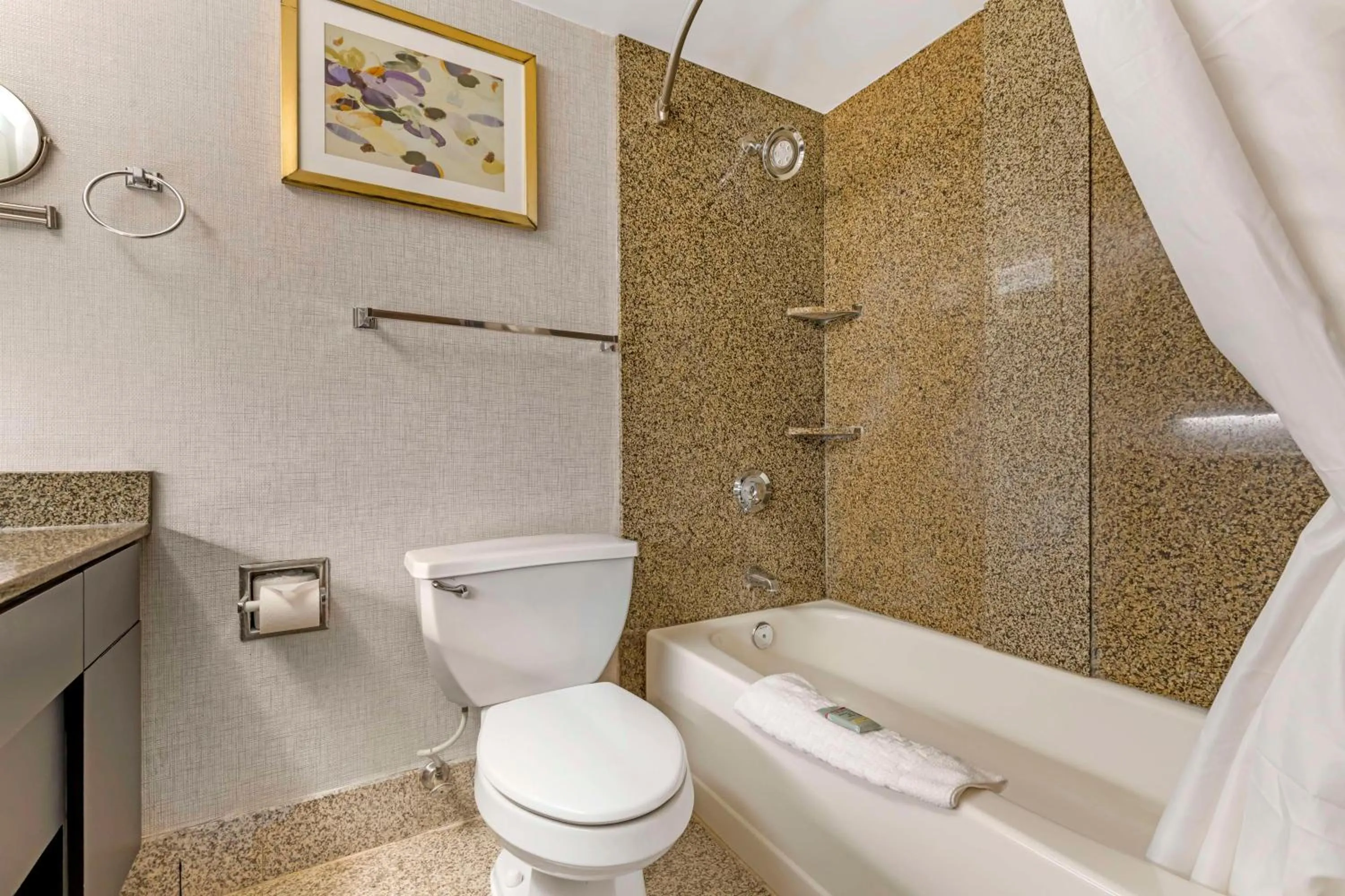 Toilet in Best Western Brooklyn Center Hotel & Conference Center