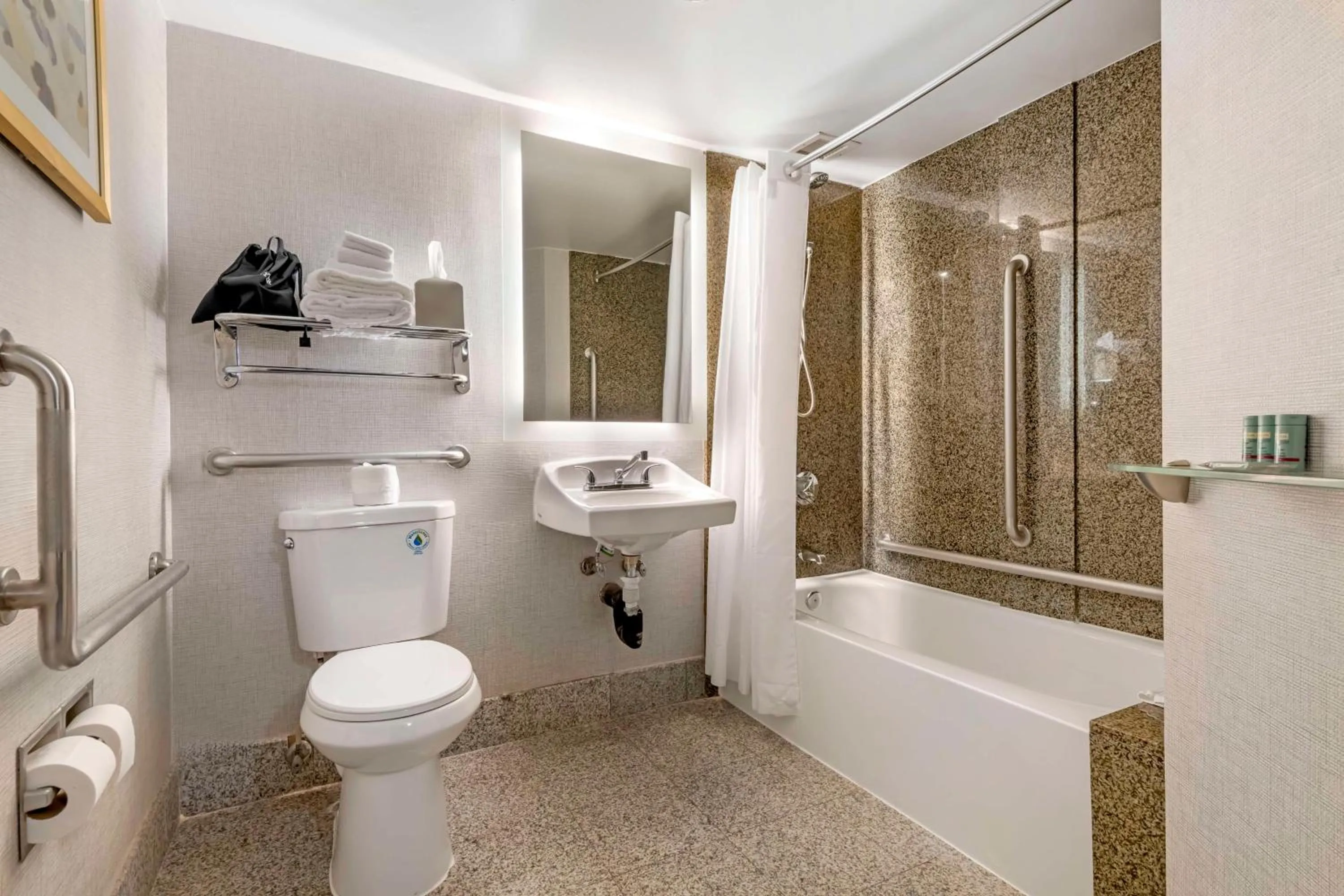 Shower in Best Western Brooklyn Center Hotel & Conference Center