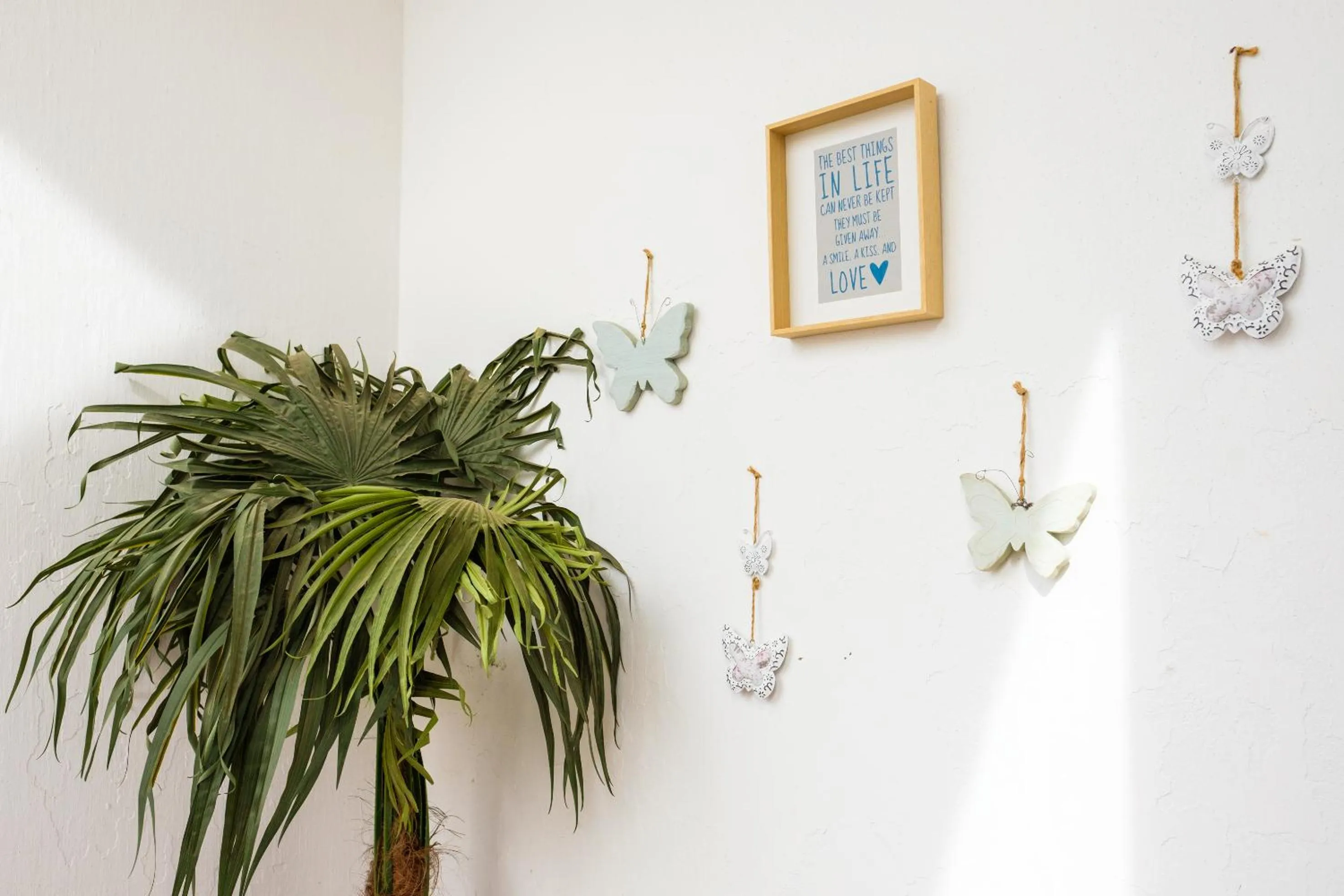Balcony/Terrace in Loulé Coreto Hostel
