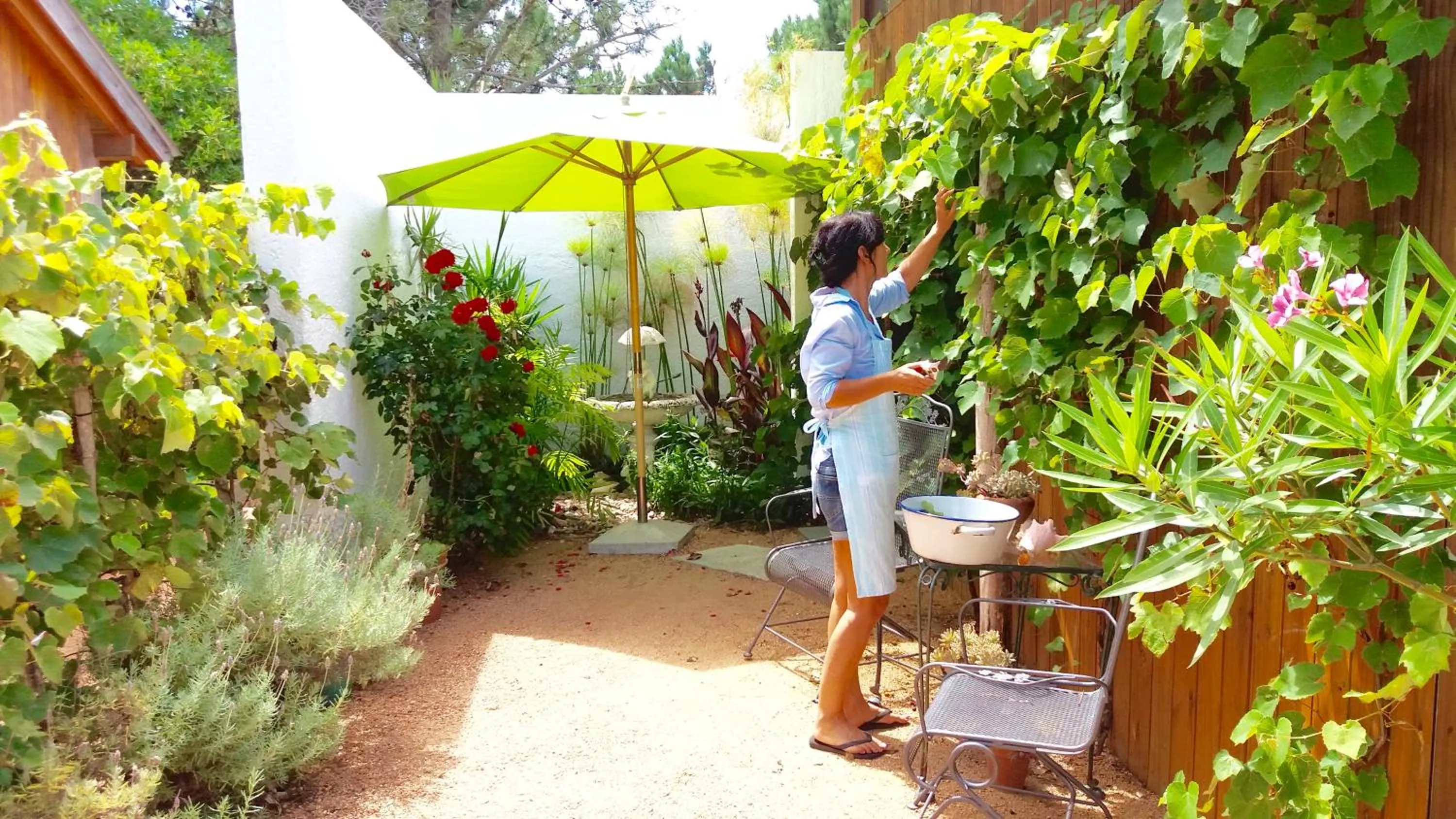 Garden view in La Atrevida