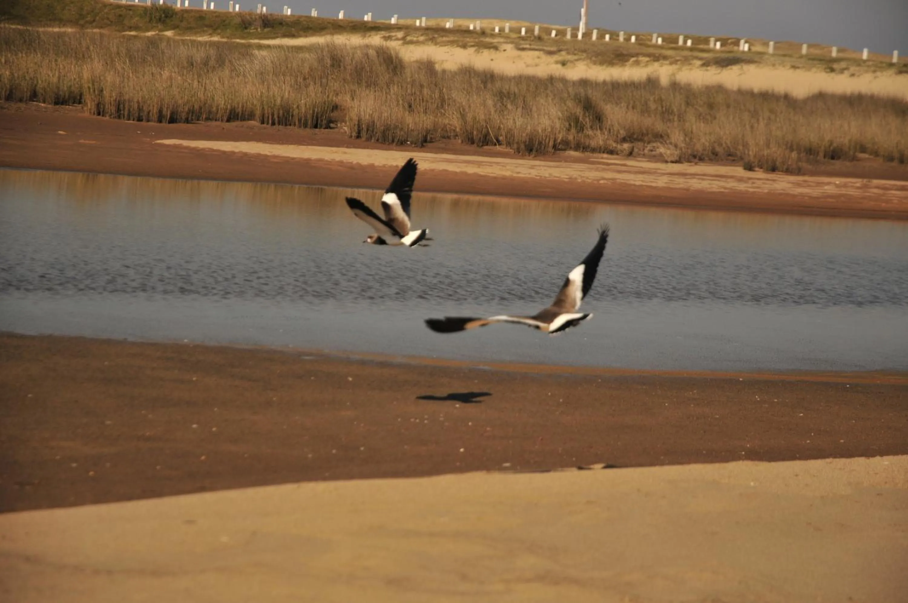 Area and facilities in La Atrevida