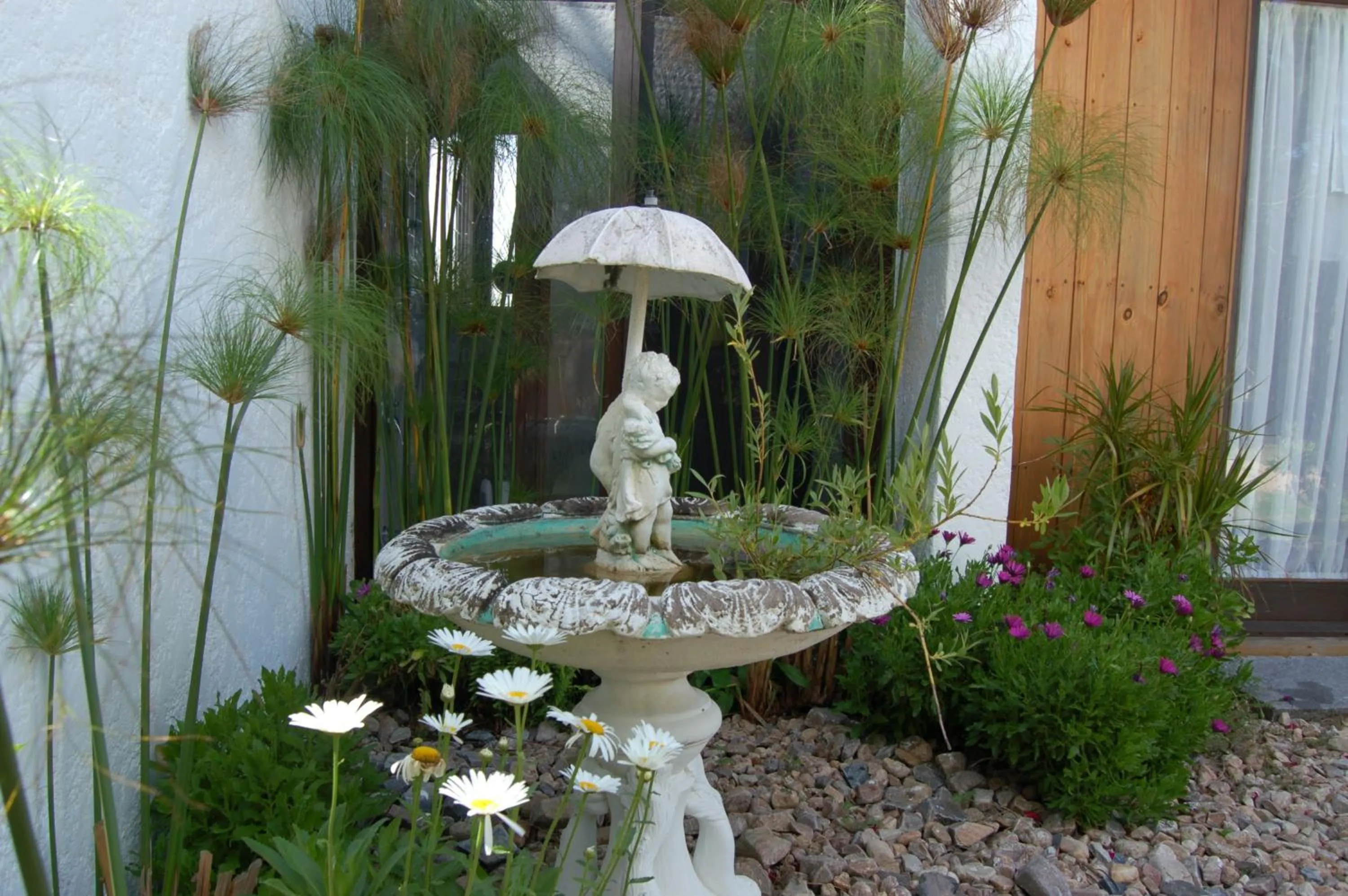 Garden in La Atrevida