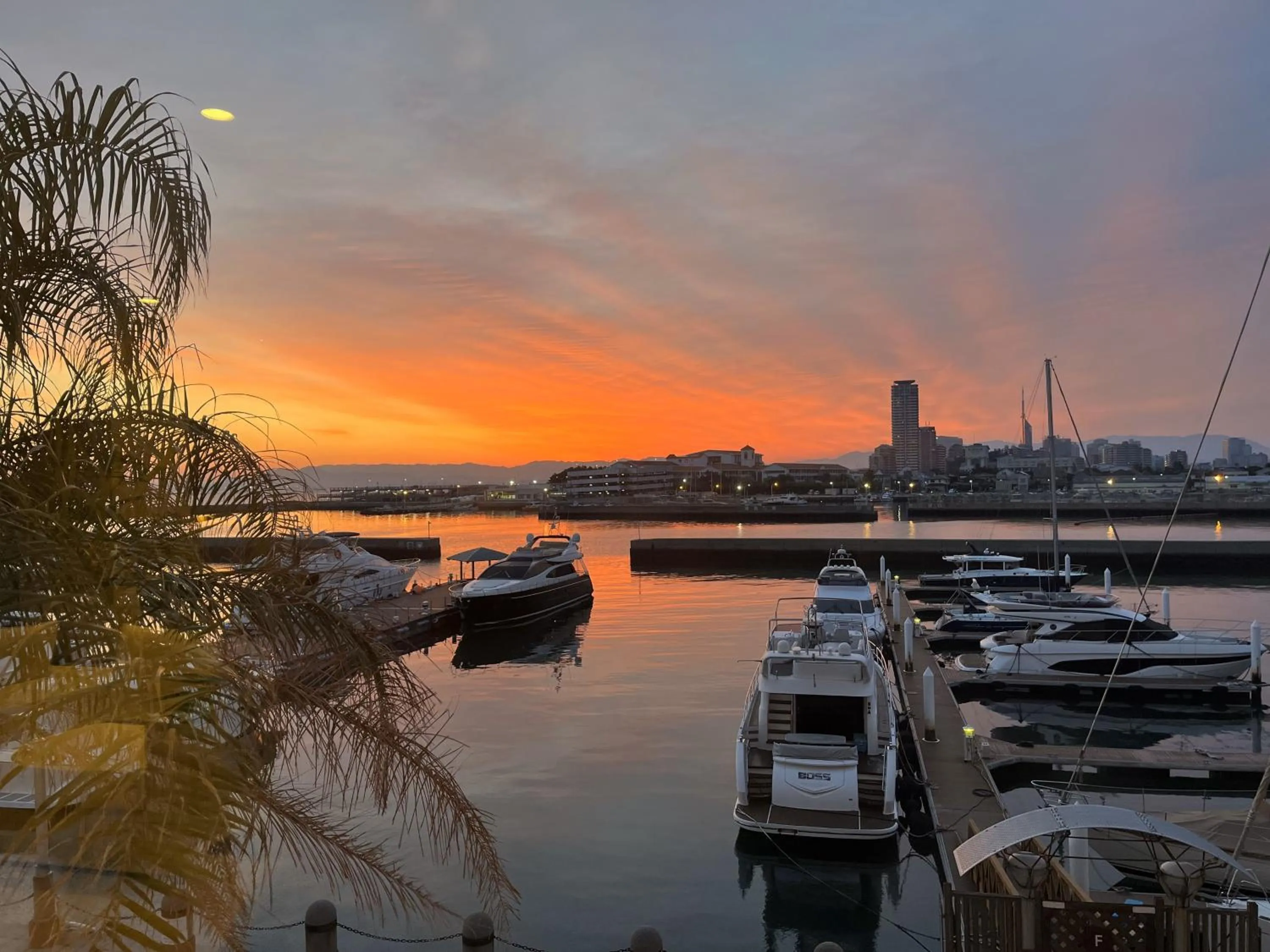 Natural landscape in Hotel Marinoa Resort Fukuoka