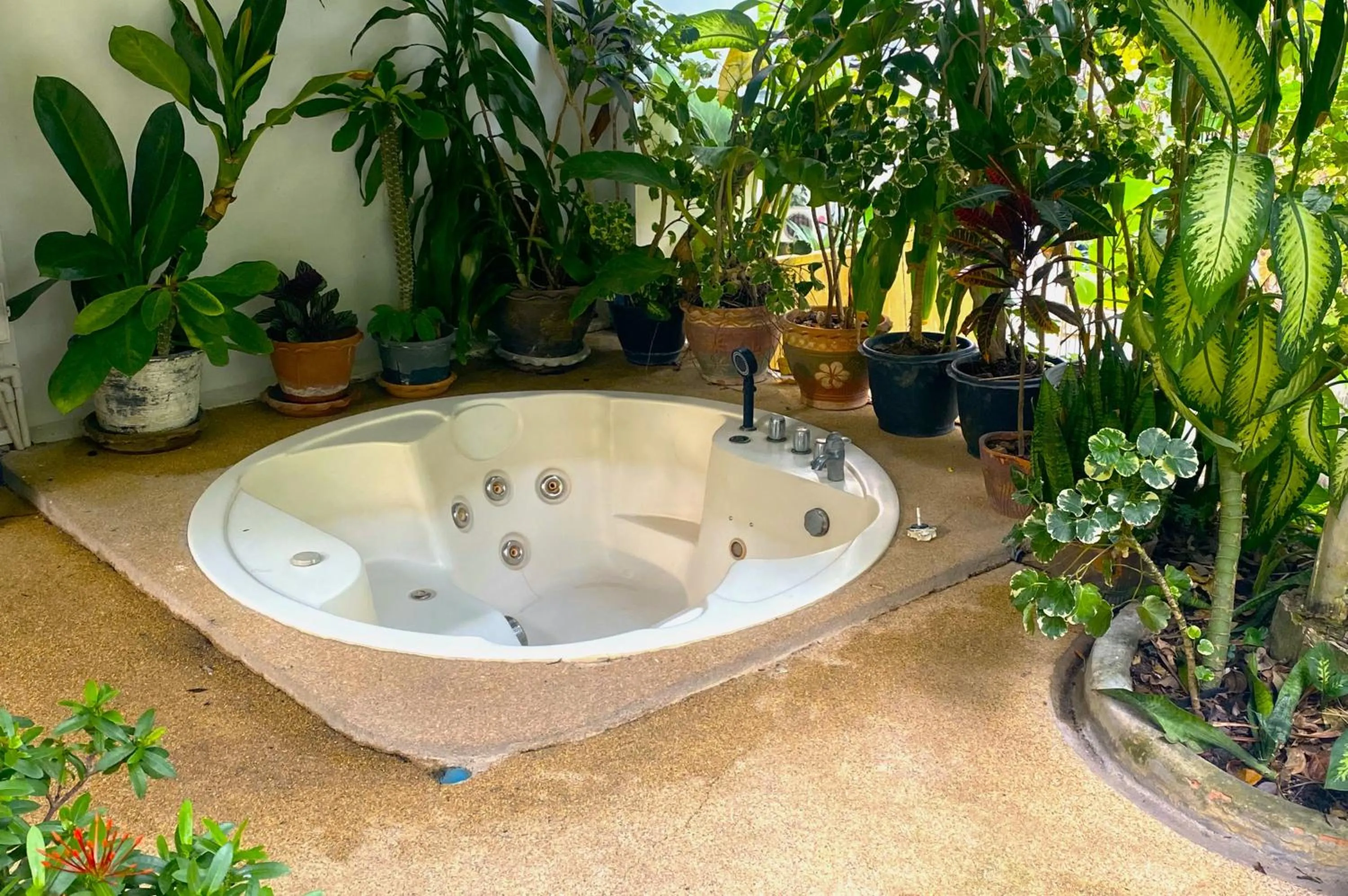 Swimming pool in OASIS VILLA Karon Beach