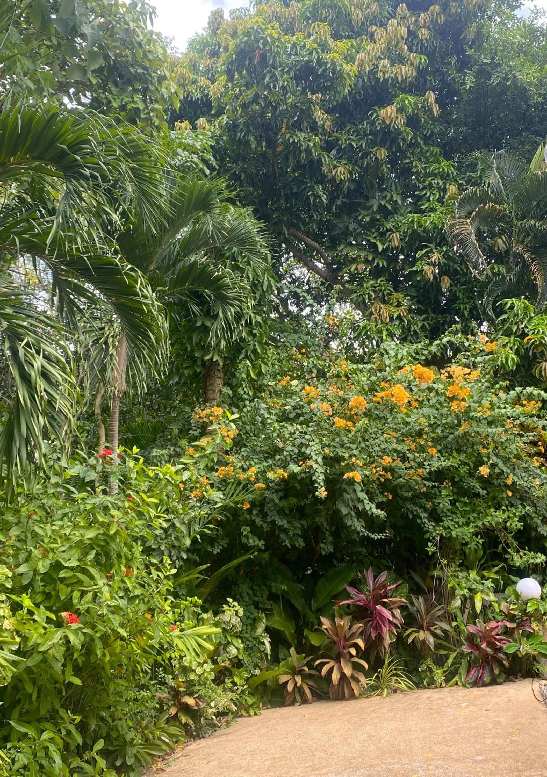 Property building in OASIS VILLA Karon Beach