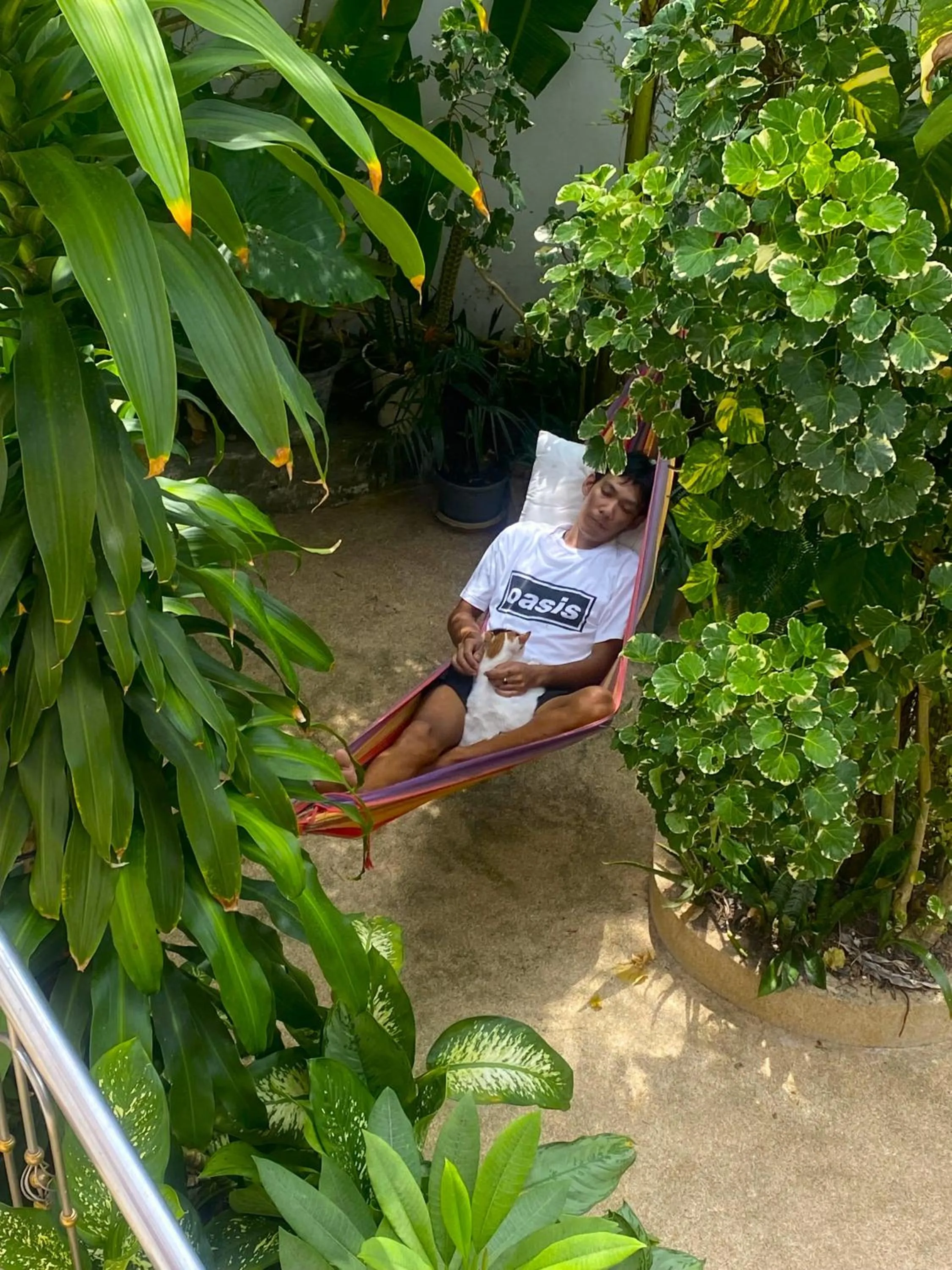 Balcony/Terrace in OASIS VILLA Karon Beach
