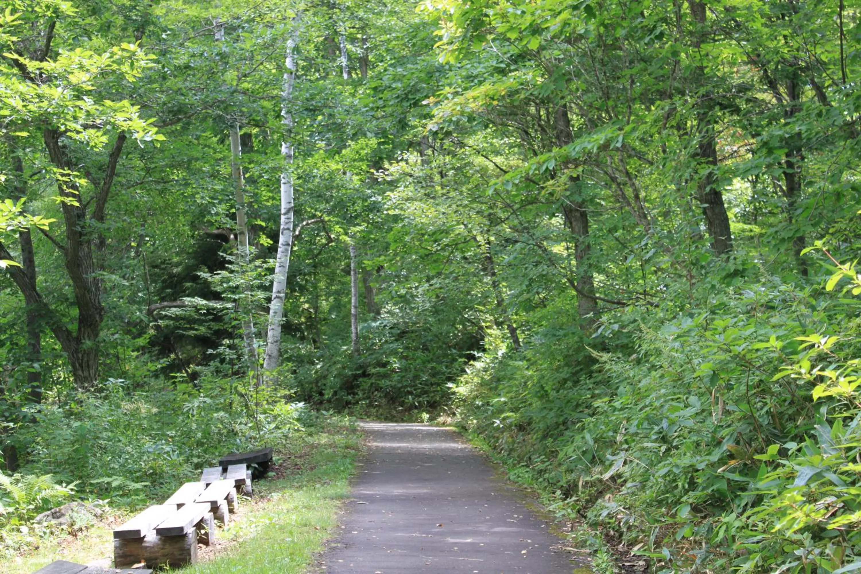 Off site in Hotel Japan Shiga