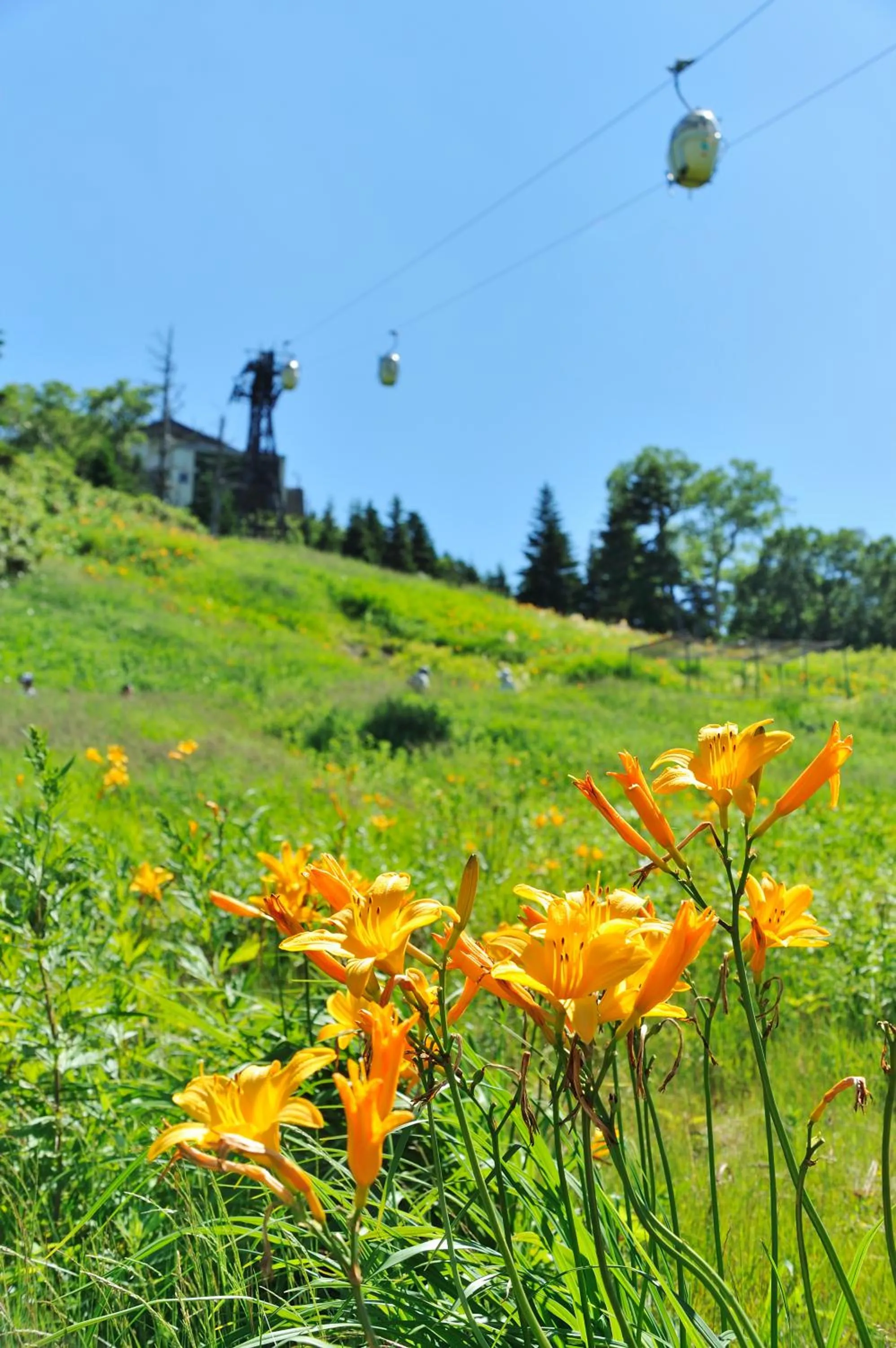 Off site in Hotel Japan Shiga