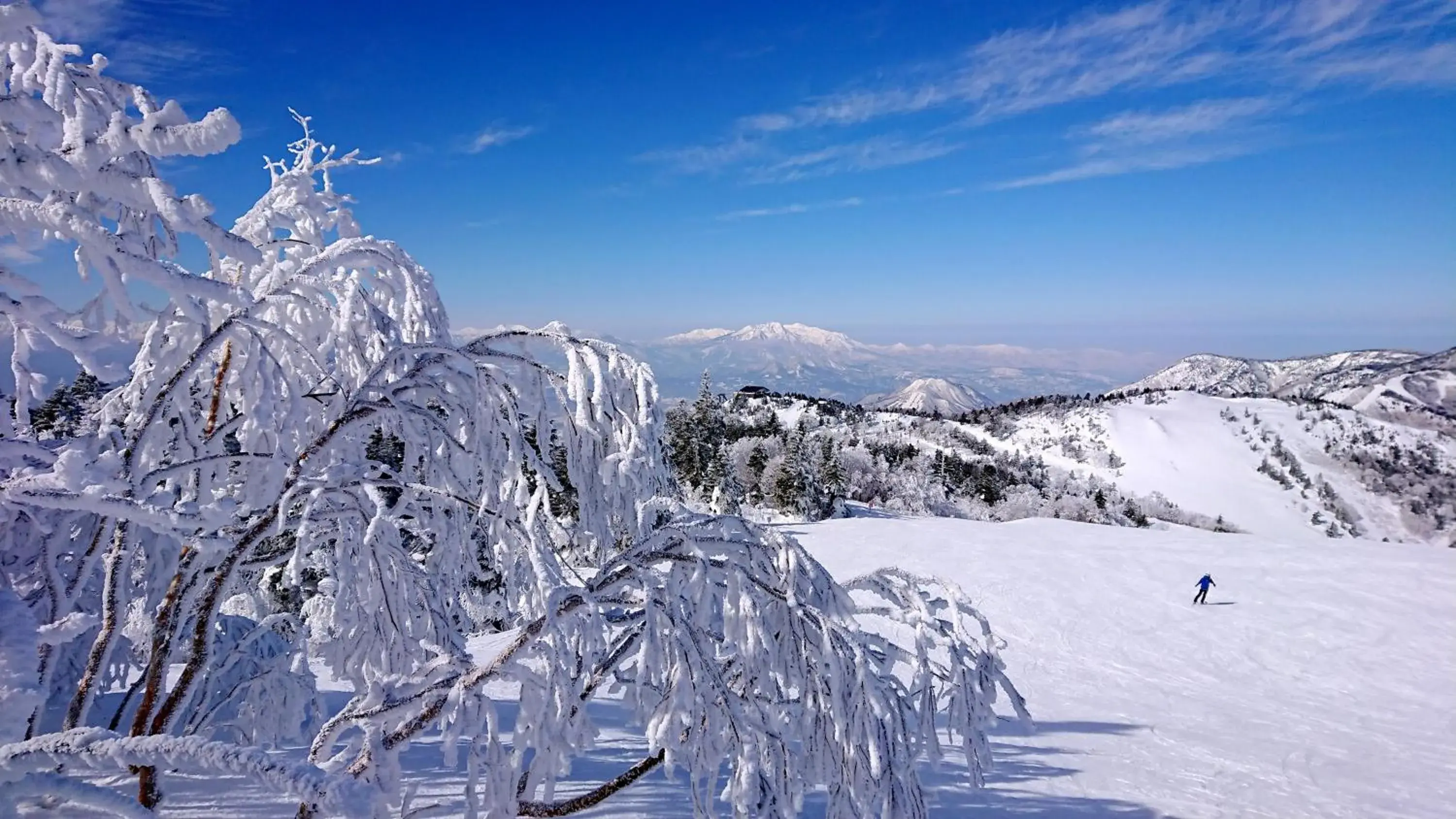 Skiing, Winter in Hotel Japan Shiga